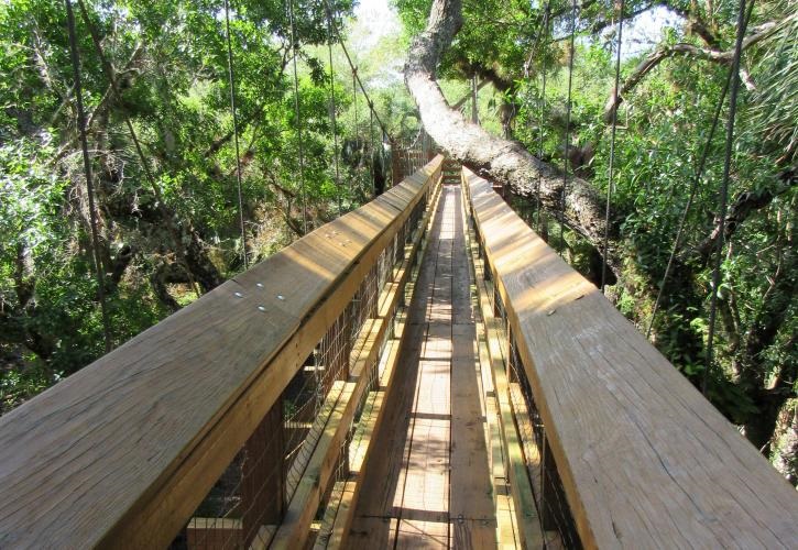 Canopy Walkway