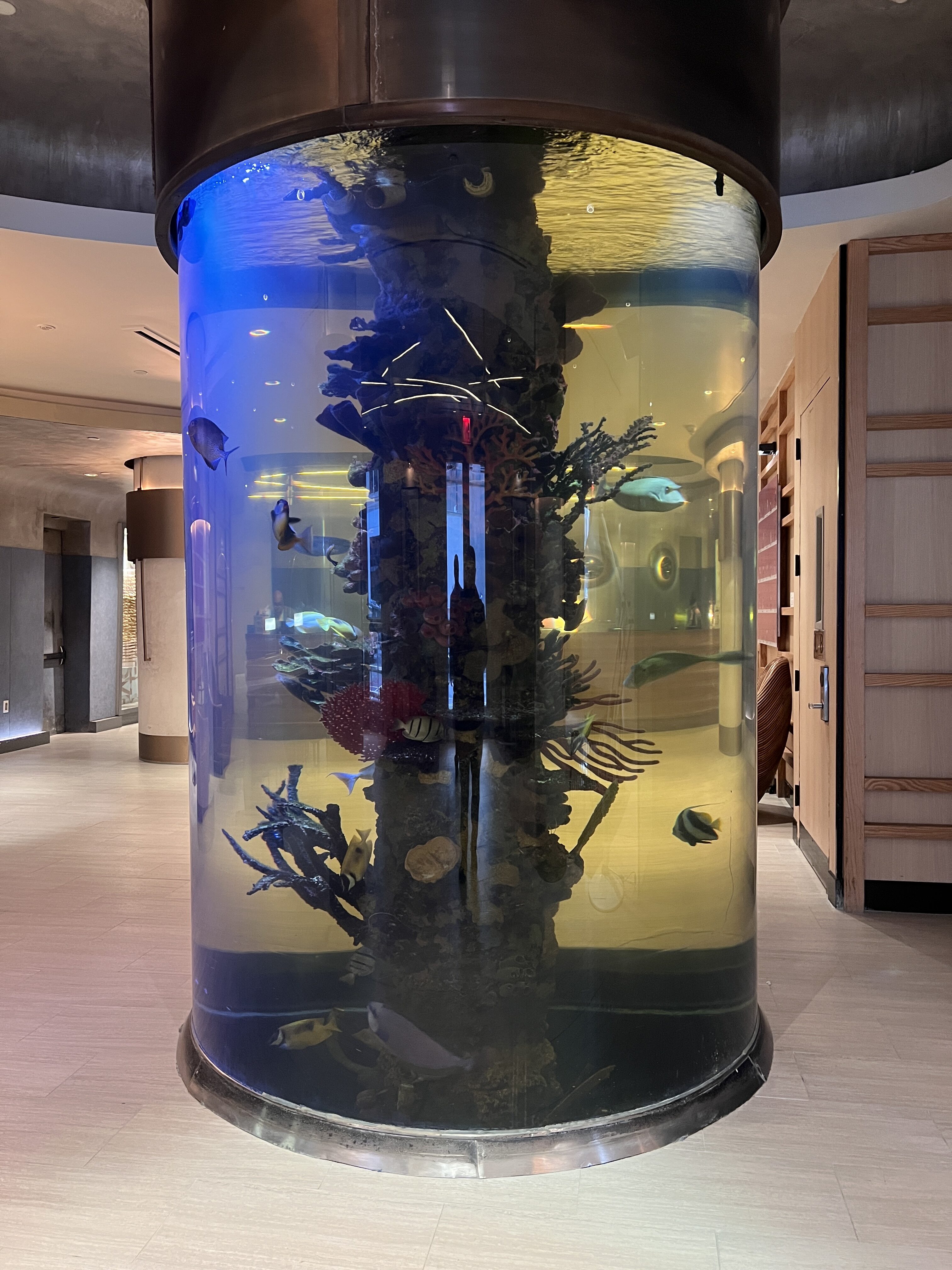 Dream Midtown lobby aquarium Dream Midtown lobby aquarium