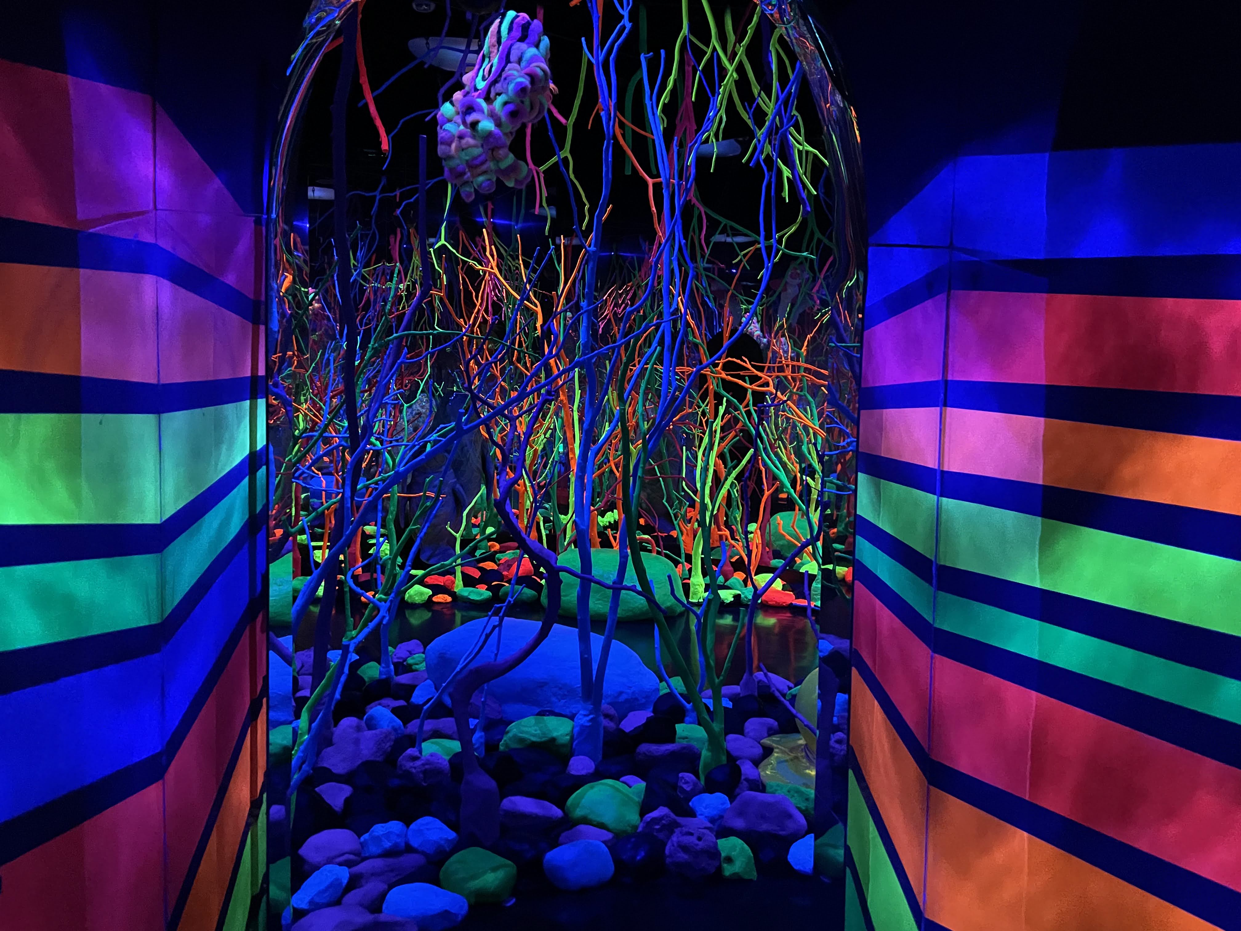 Glowquarium at Meow Wolf Grapevine The Real Unreal