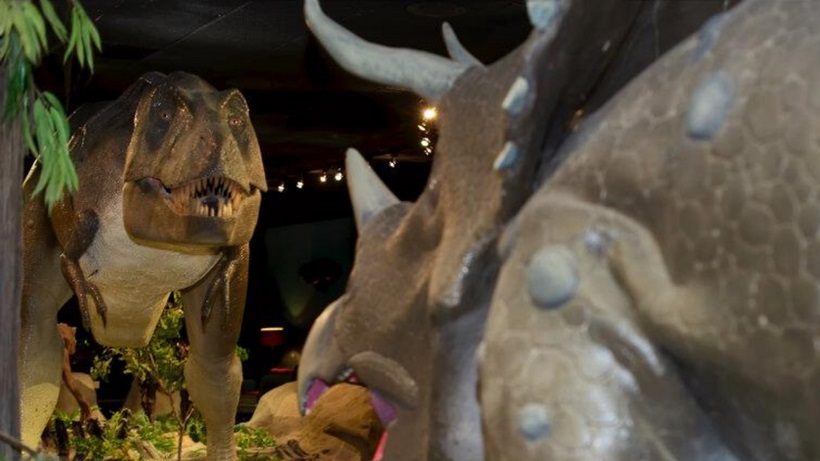 Las Vegas Natural History Museum Las Vegas Natural History Museum