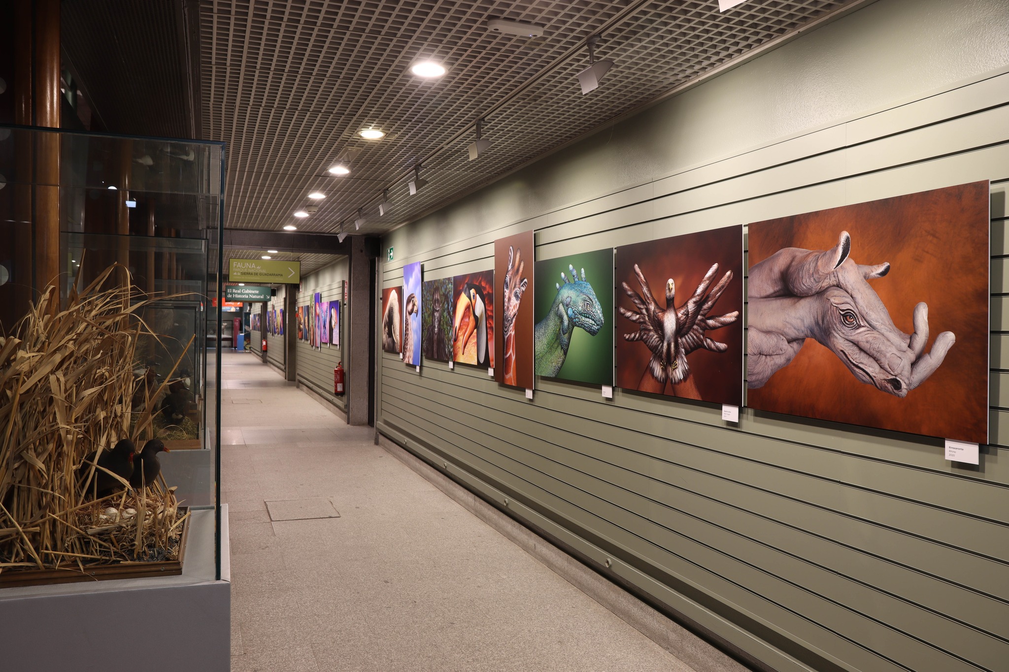 Museo Nacional de Ciencias Naturales
