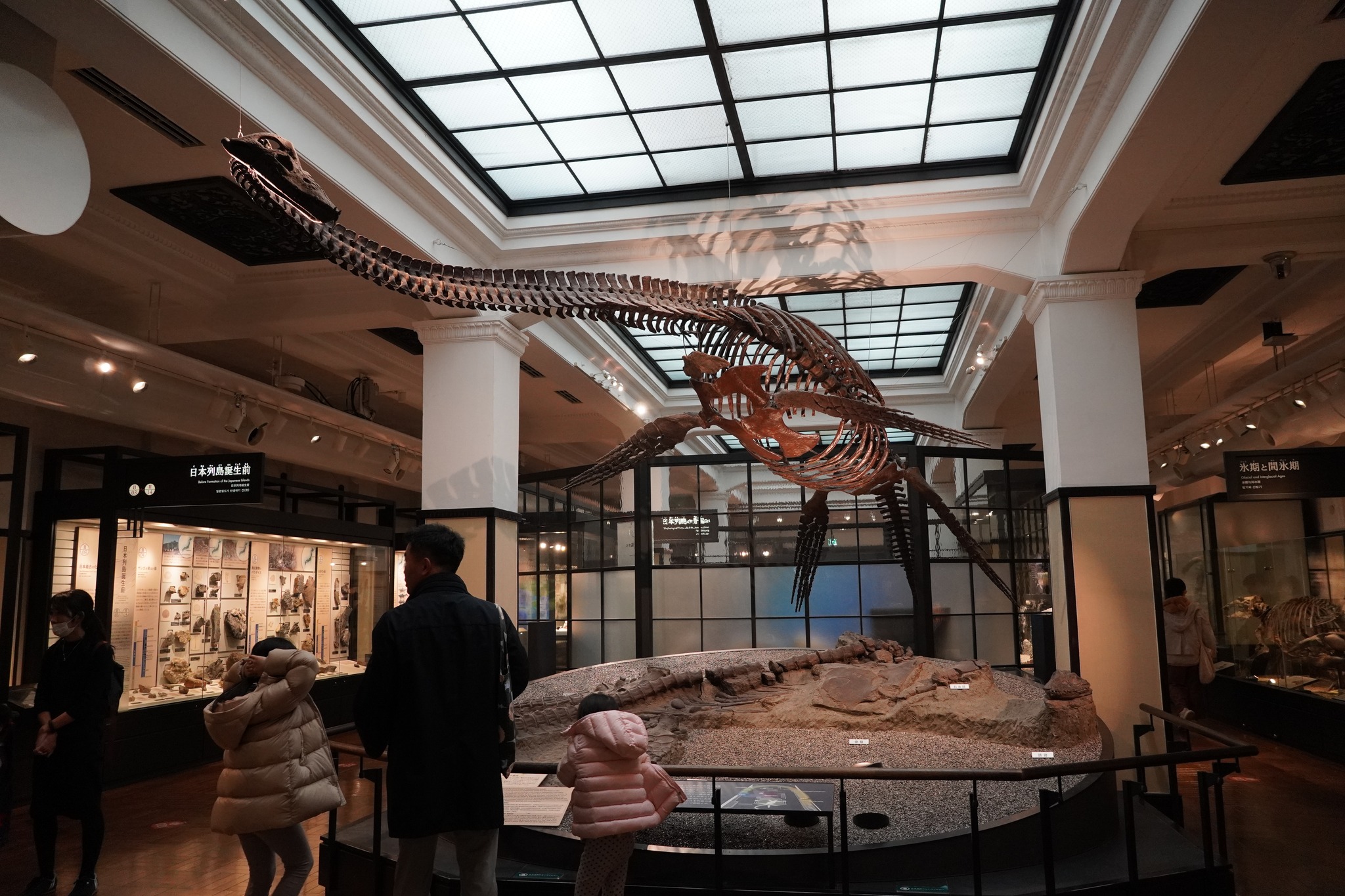 National Museum of Nature and Science National Museum of Nature and Science