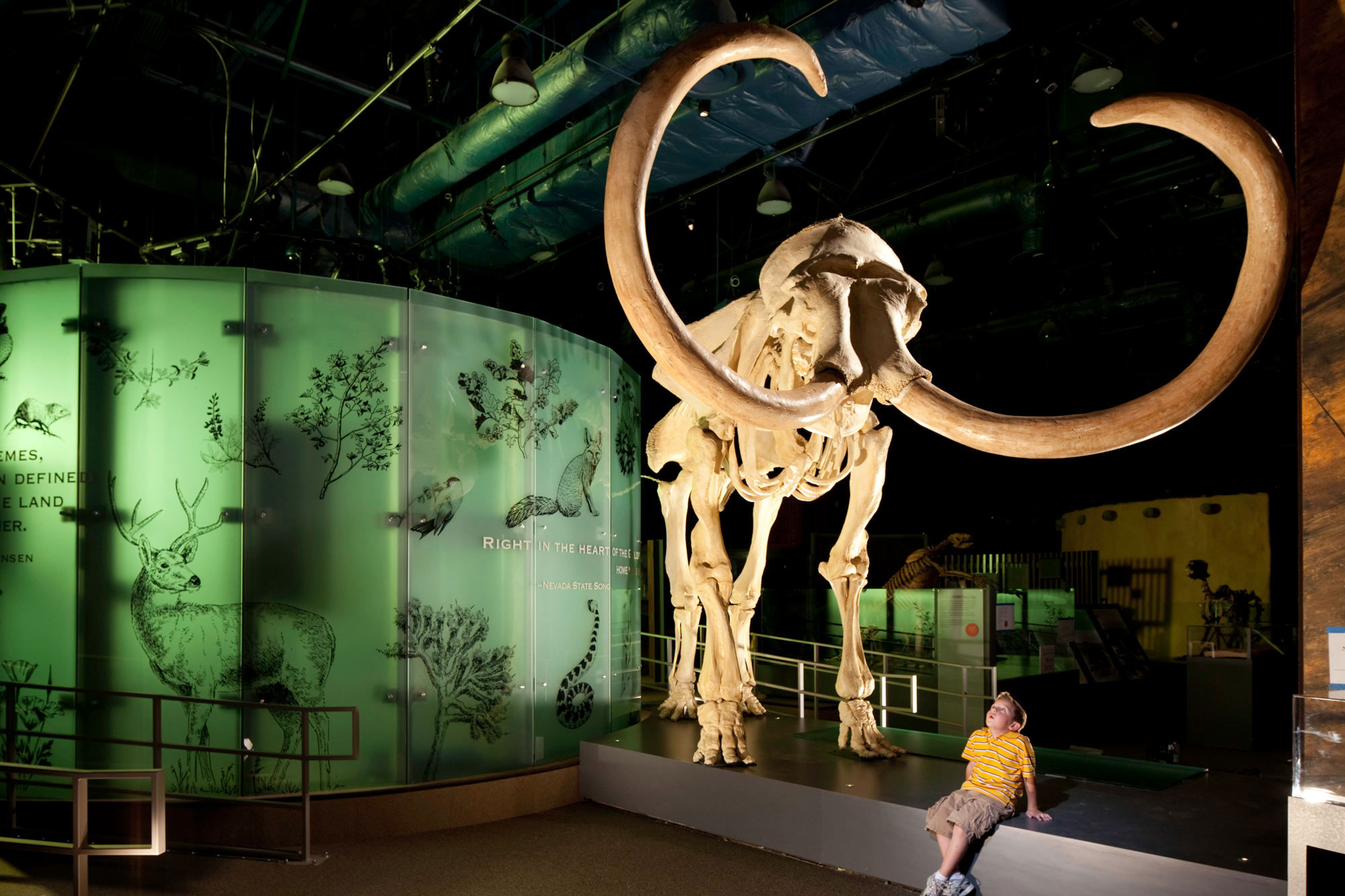 Nevada State Museum Las Vegas Nevada State Museum Las Vegas