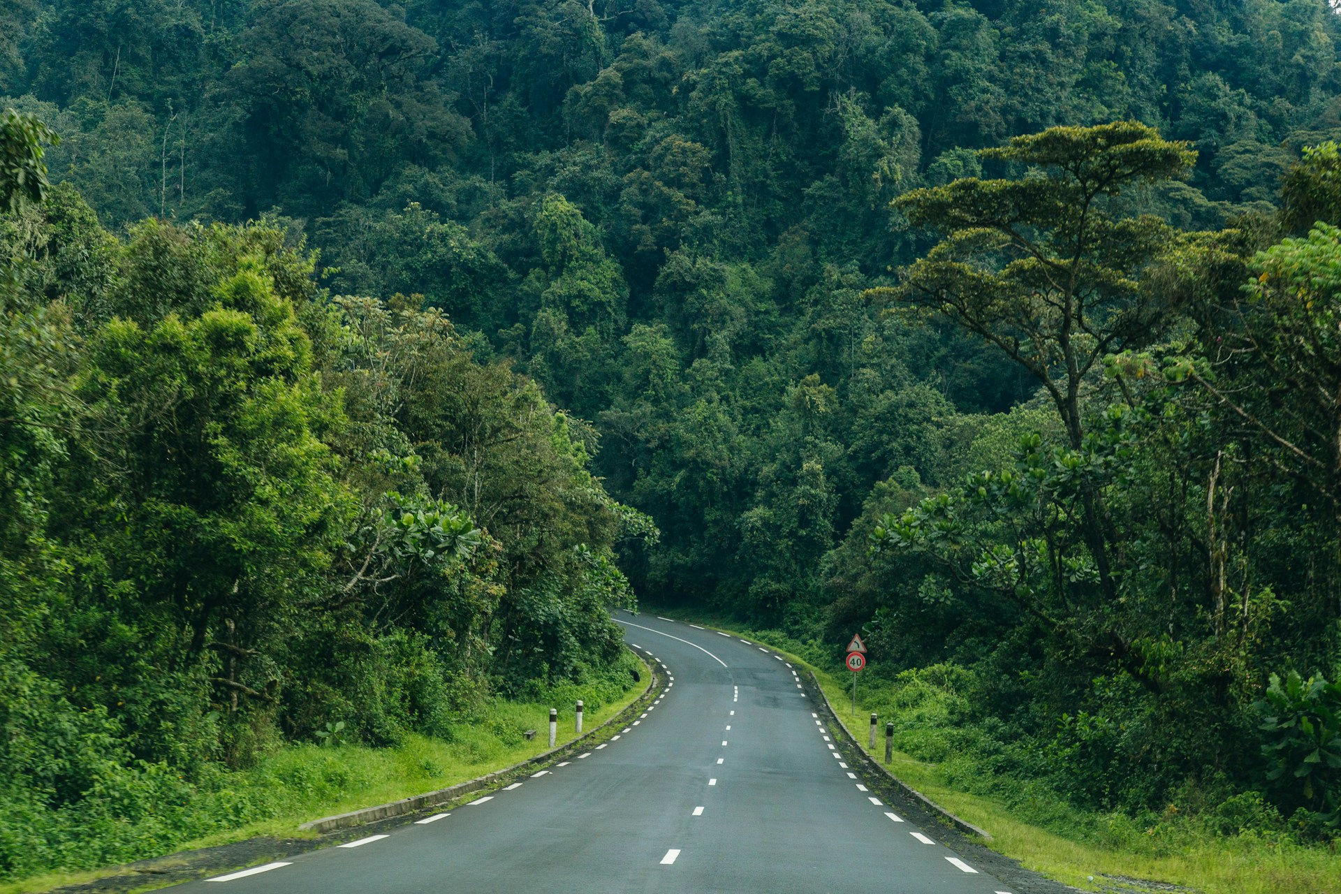 Nyungwe National Park Nyungwe National Park