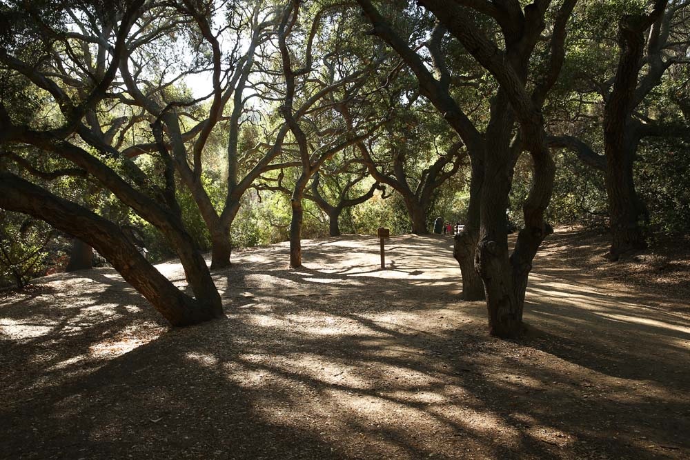 Oak Canyon Nature Center