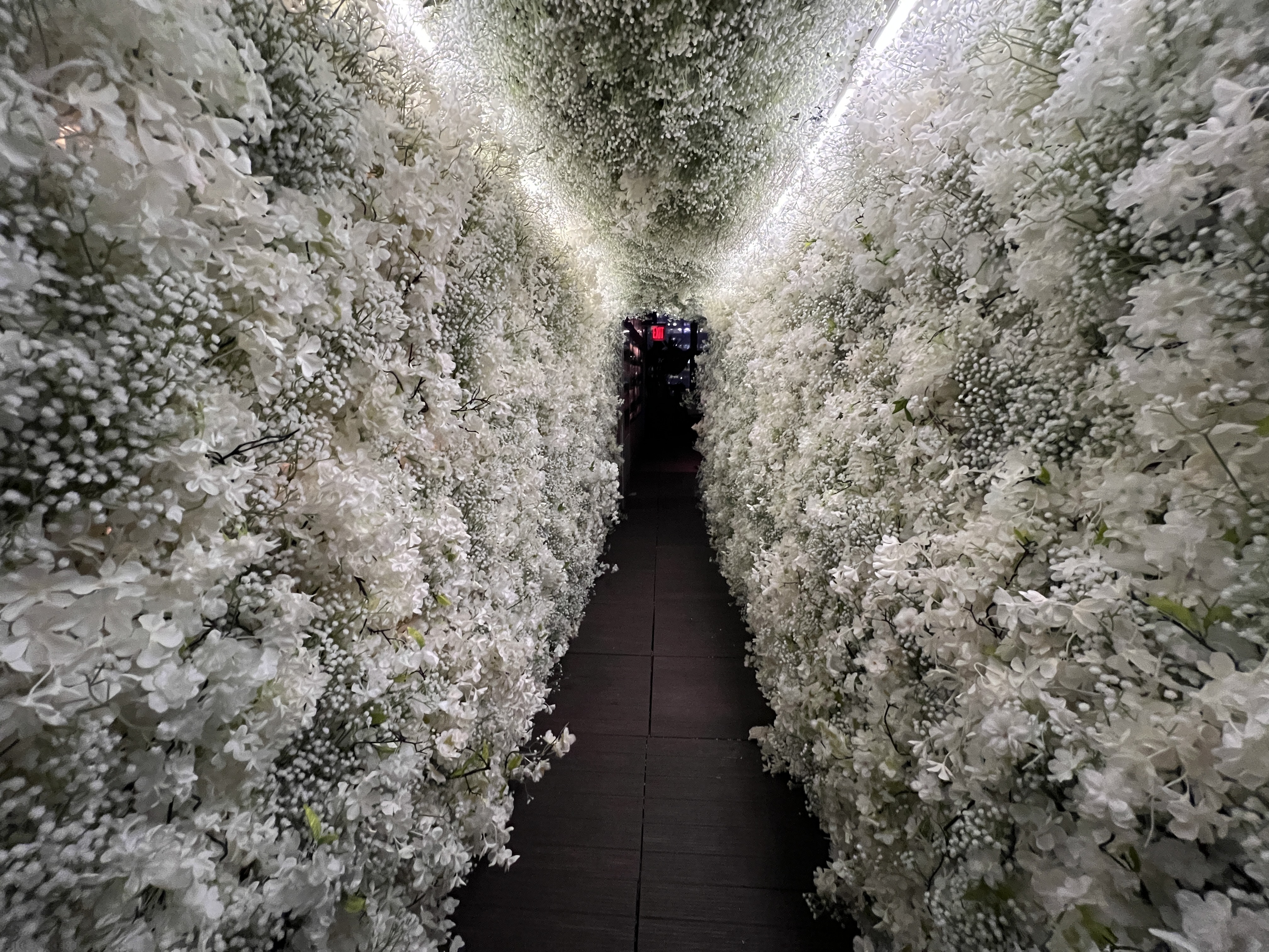 PHD Terrace Dream Midtown flower walkway PHD Terrace Dream Midtown flower tunnel