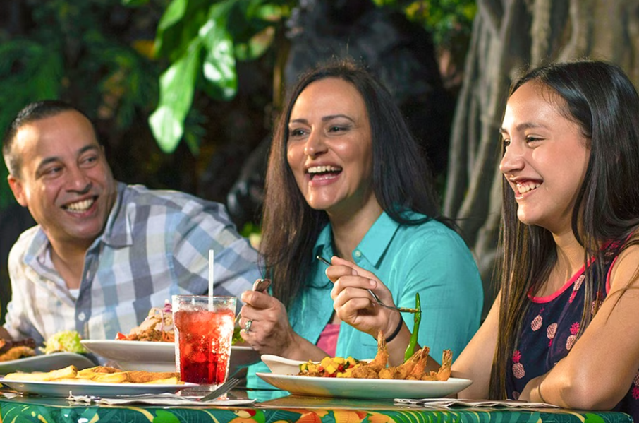 Rainforest Cafe Disney Springs