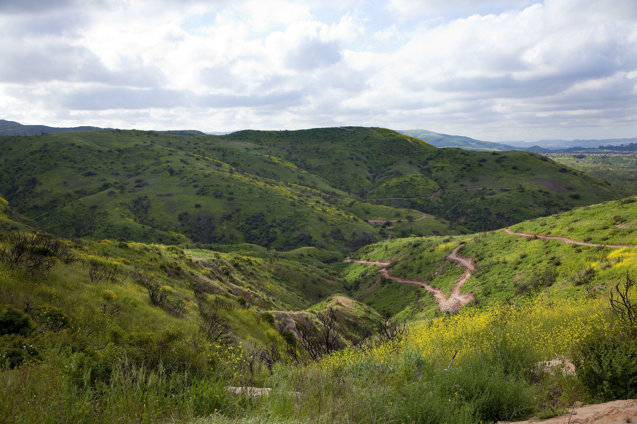 Santiago Oaks Regional Park 