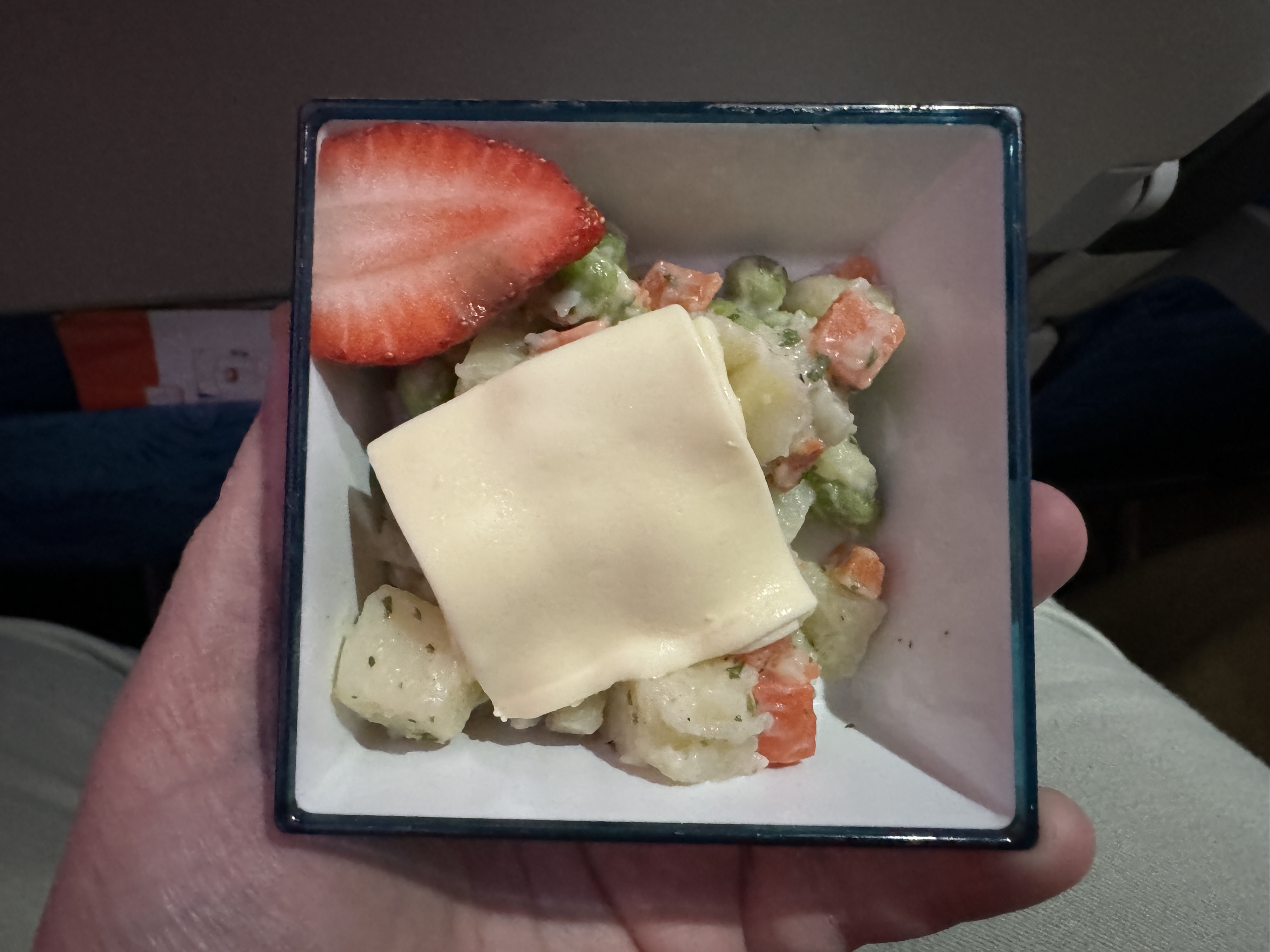 SriLankan DOH CMB A330 300 economy child salad
