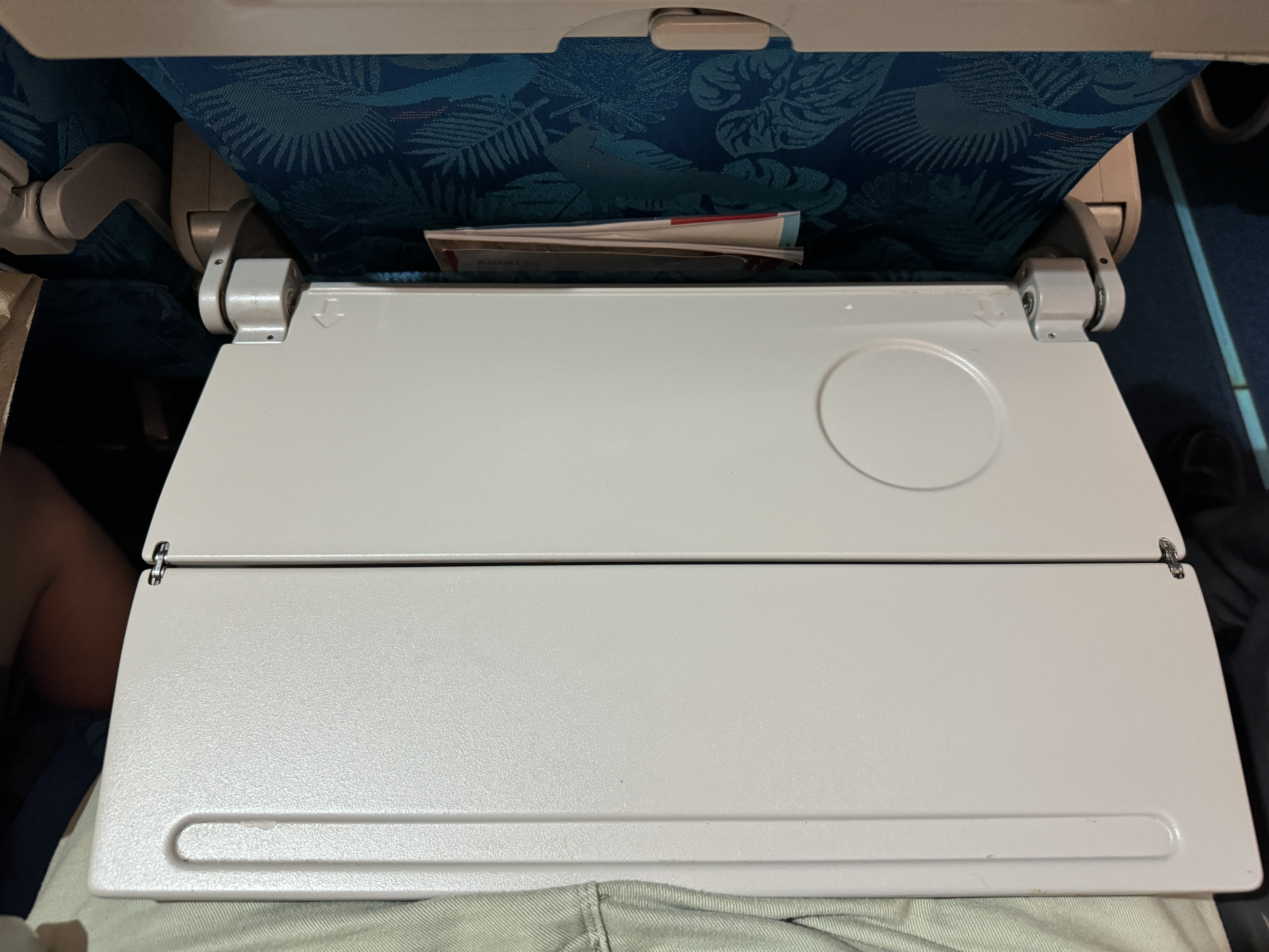 SriLankan DOH CMB A330 300 economy tray table open