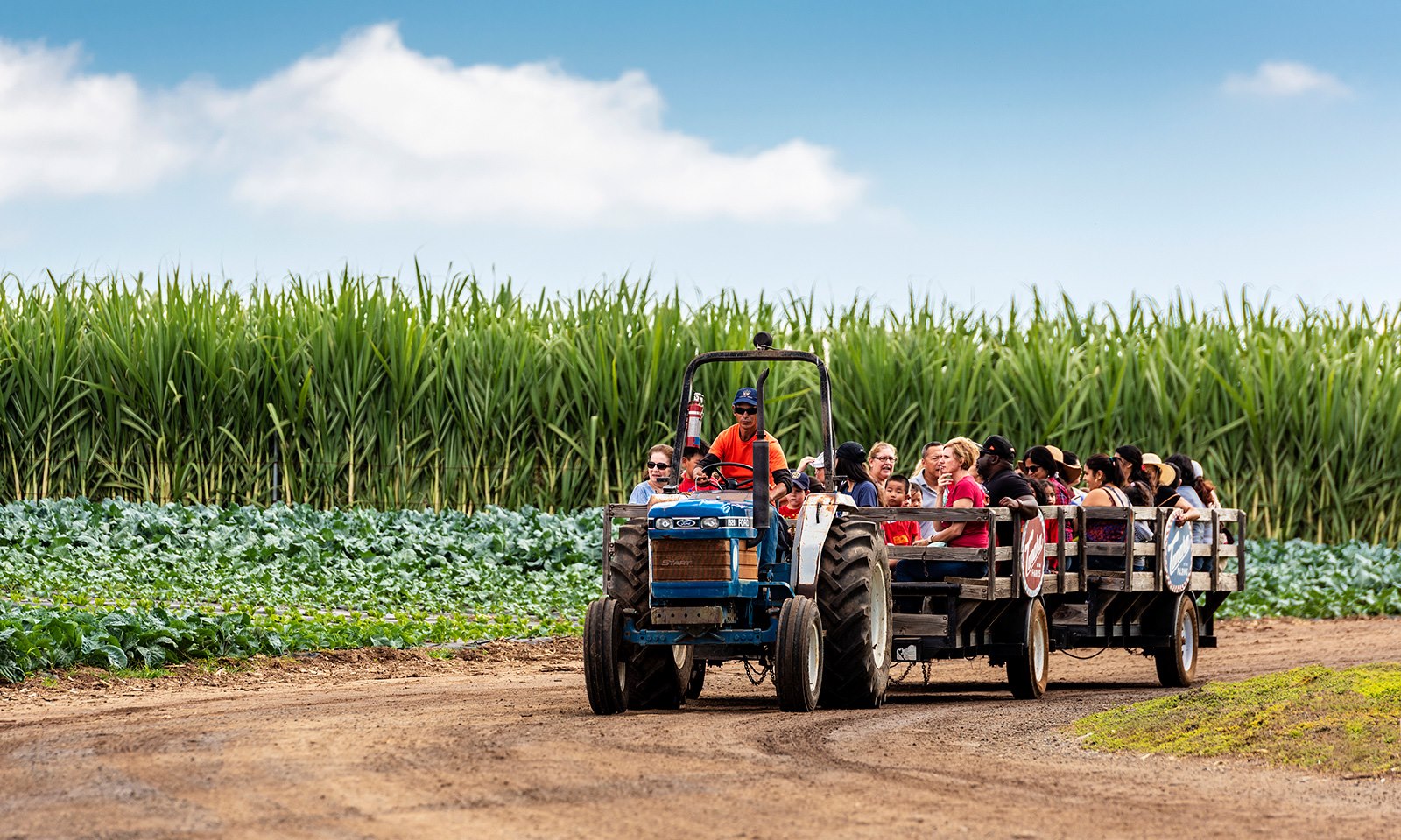 Tanaka Farms