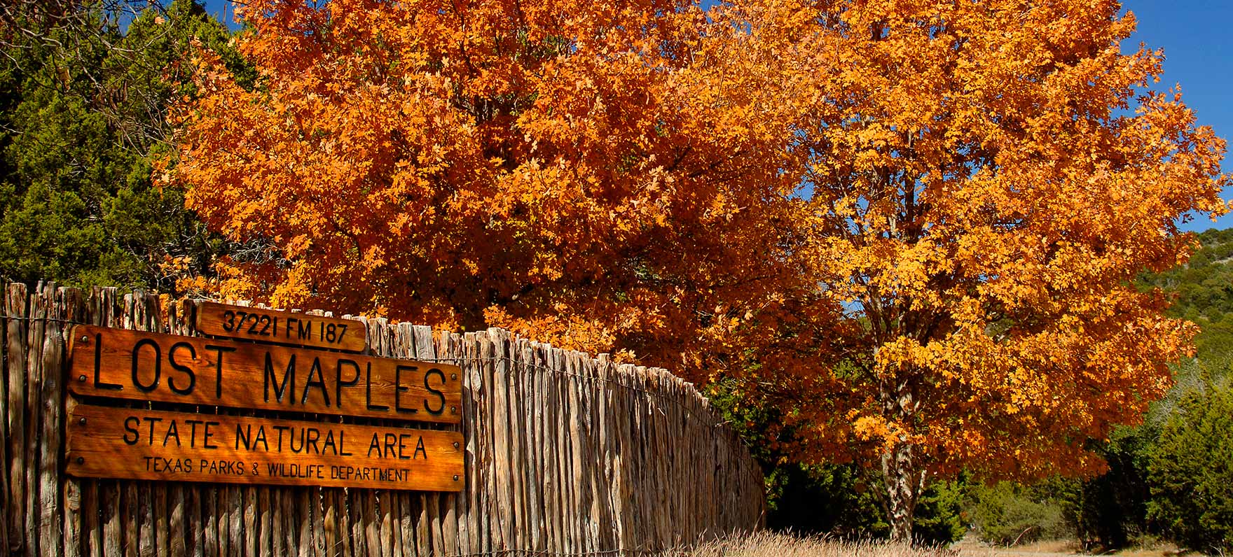 Driving to Lost Maples State Natural Area Driving to Lost Maples State Natural Area