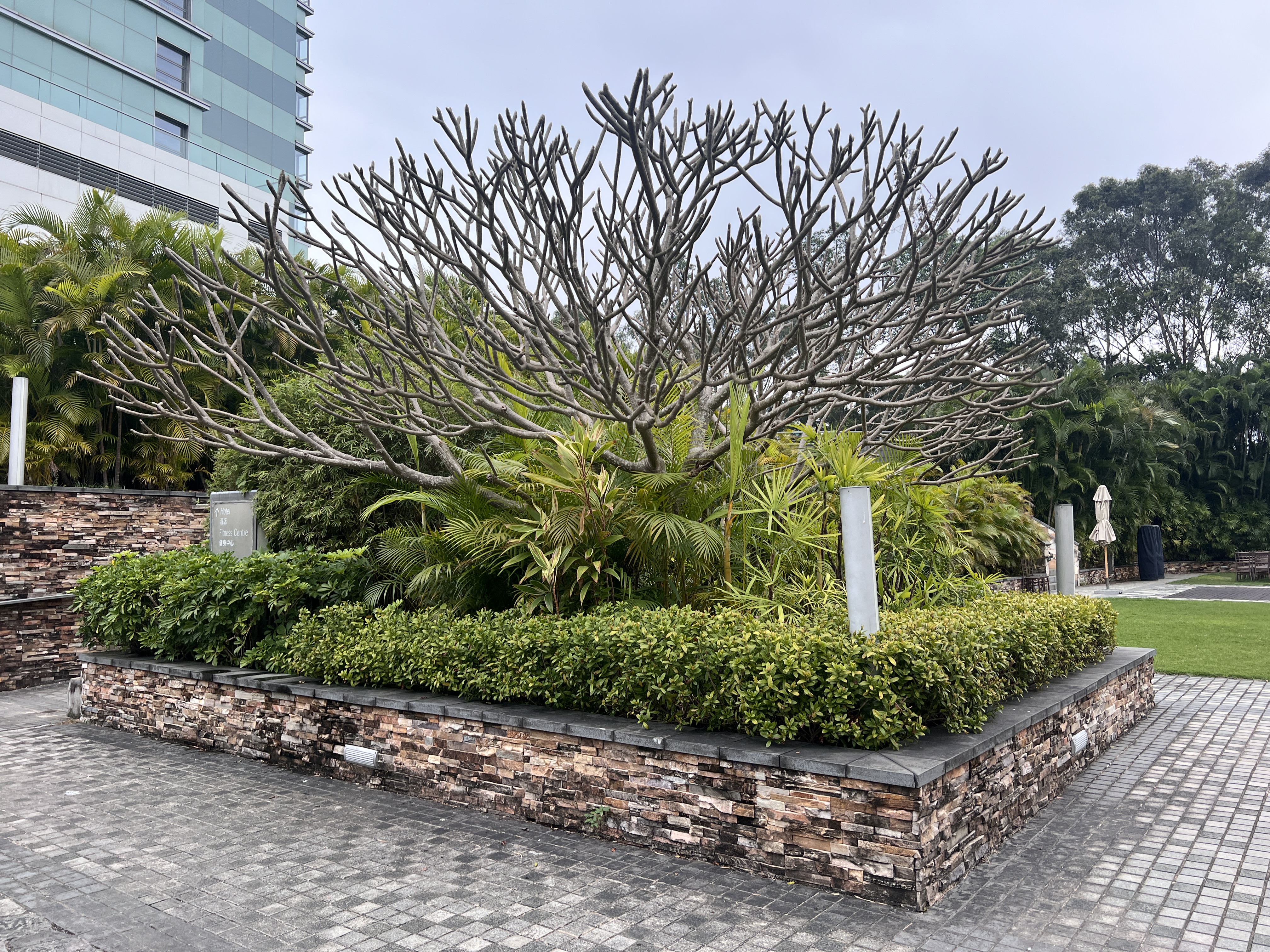 Hyatt Regency Hong Kong Sha Tin garden plants