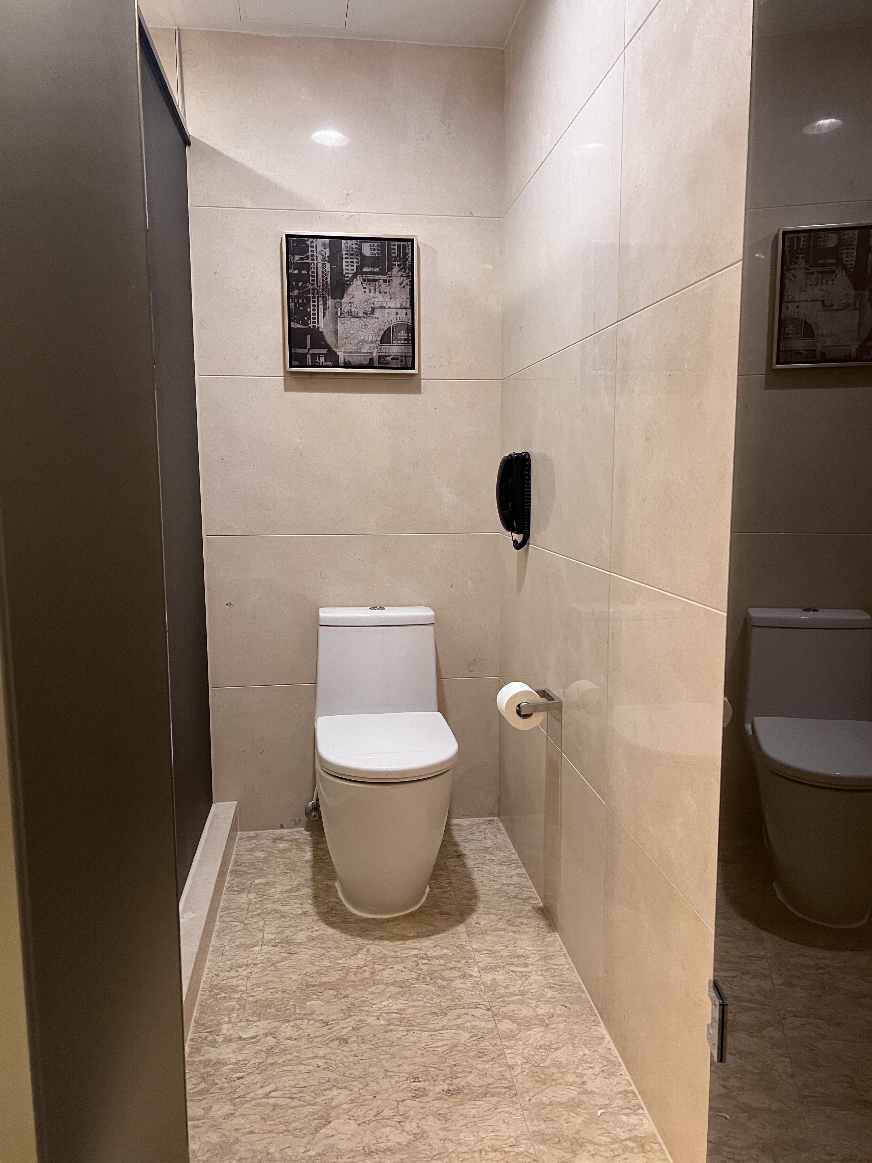 Hyatt Regency Hong Kong Sha Tin toilet