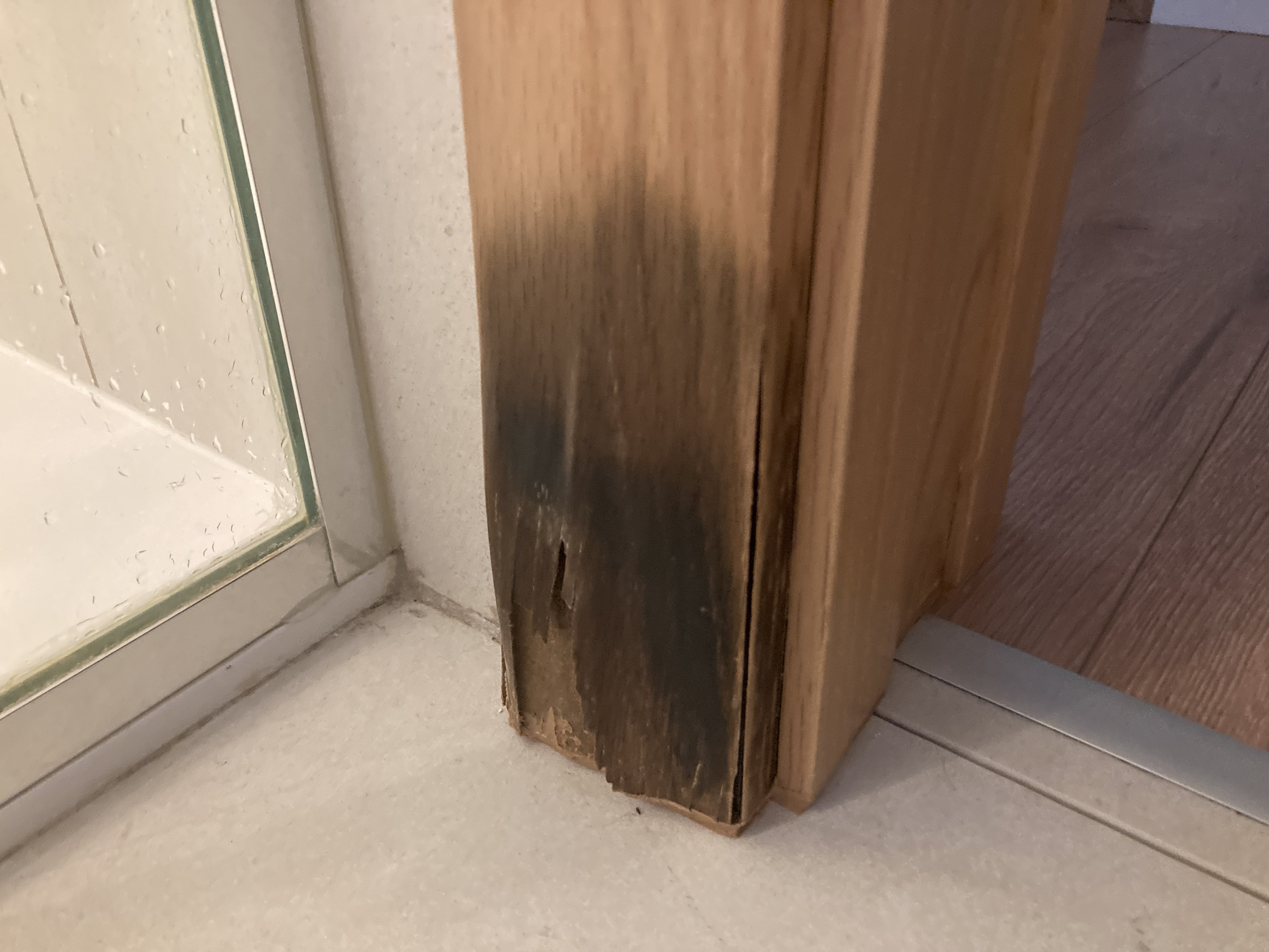 Hyatt Regency Lisbon bathroom wood rot Hyatt Regency Lisbon bathroom wood rot