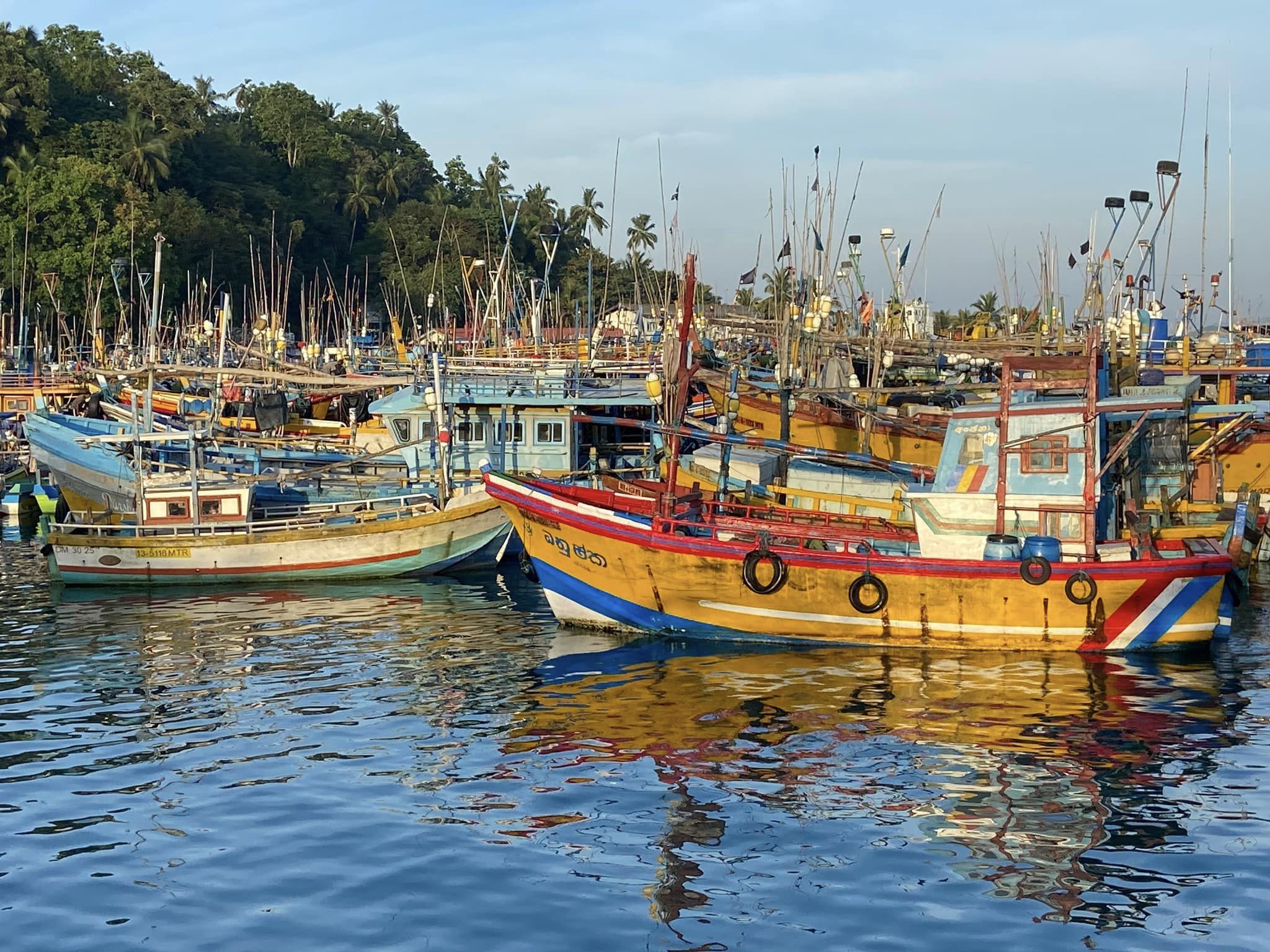 Mirissa marina