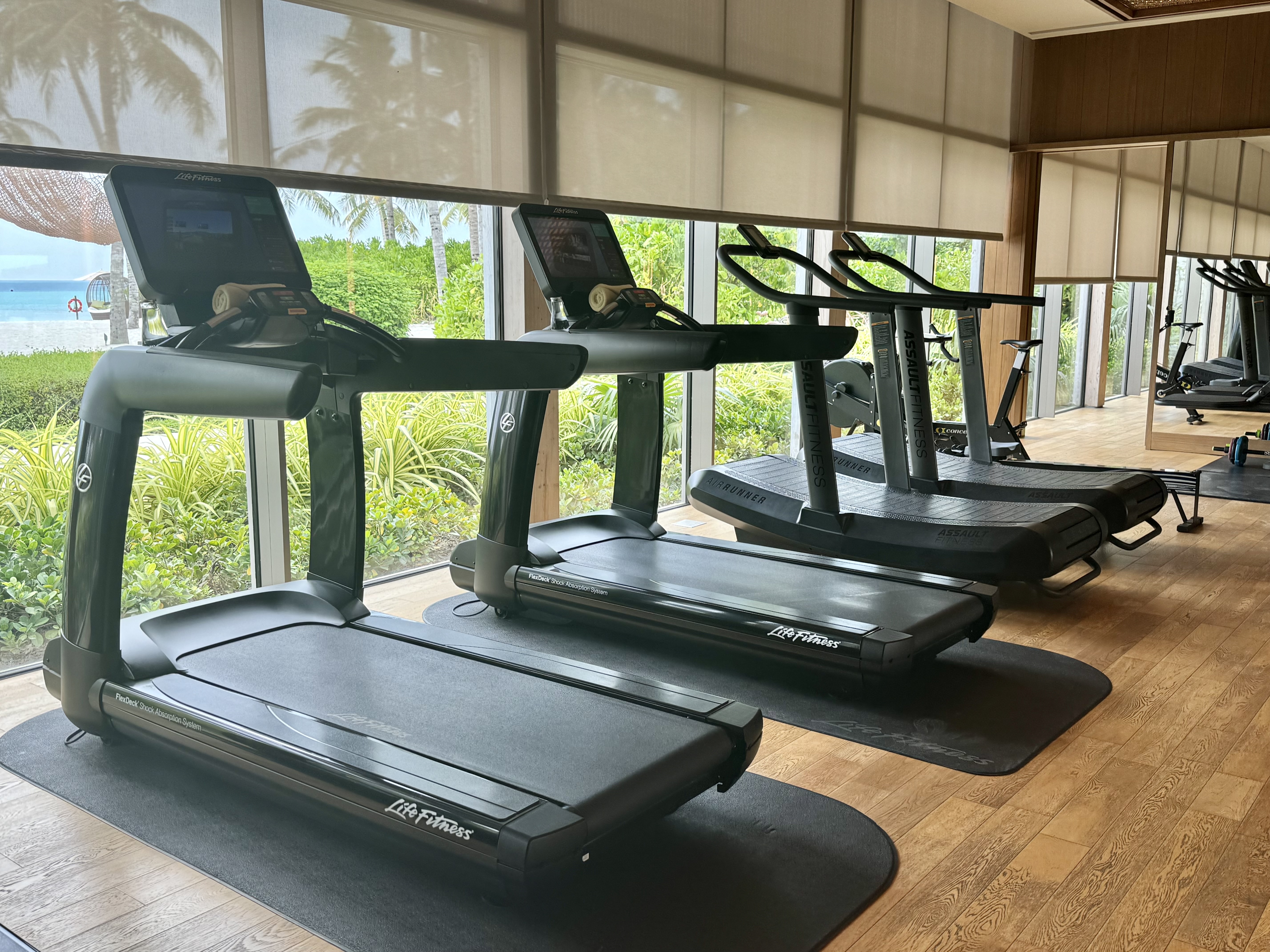 Ritz Carlton Fari Islands gym 