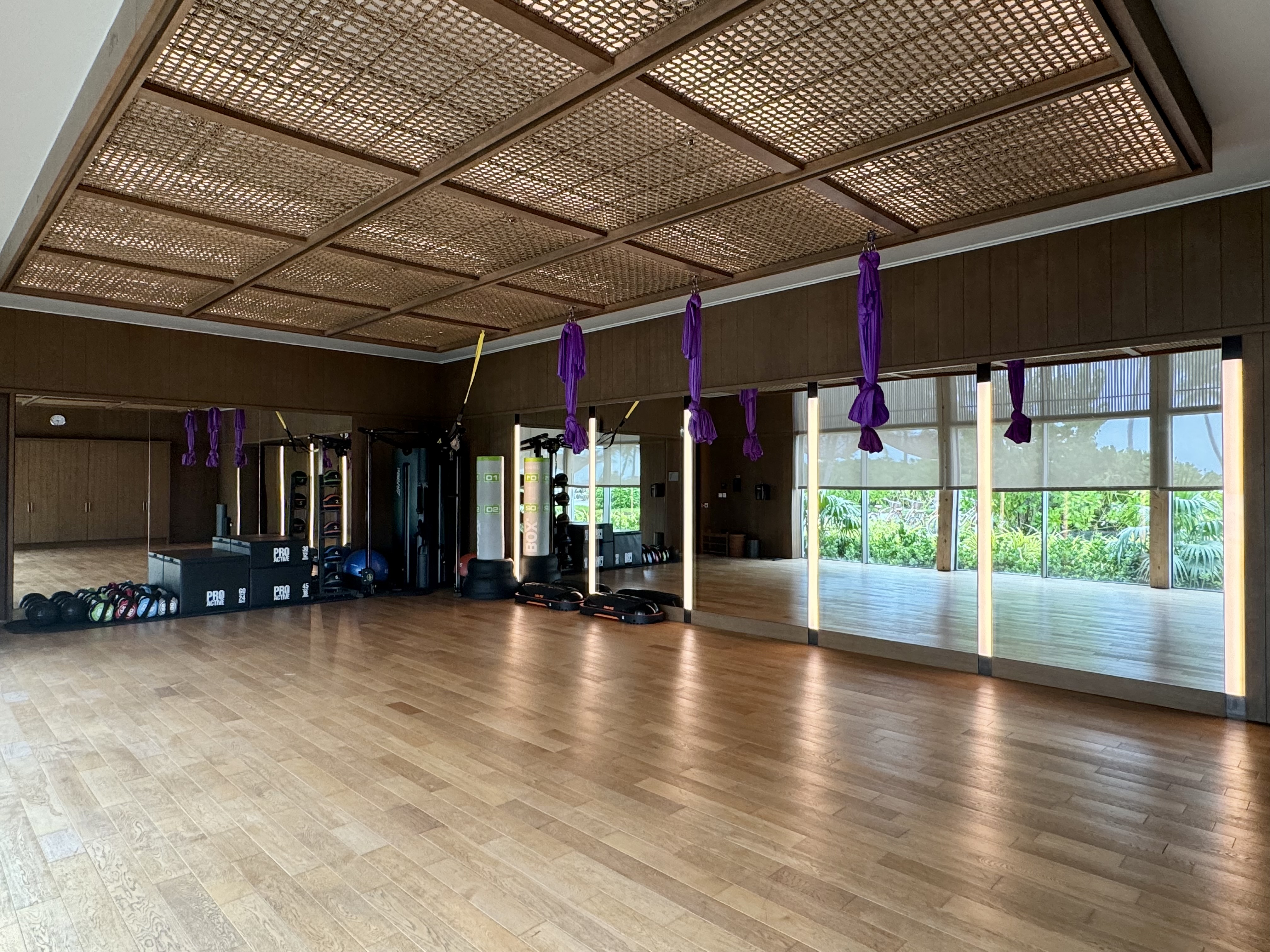 Ritz Carlton Fari Islands gym 