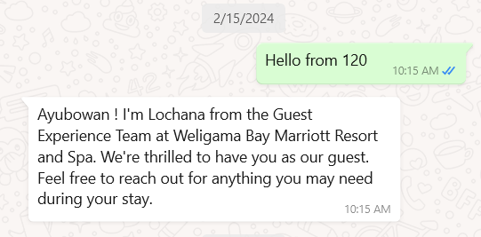 Weligama Bay WhatsApp chat