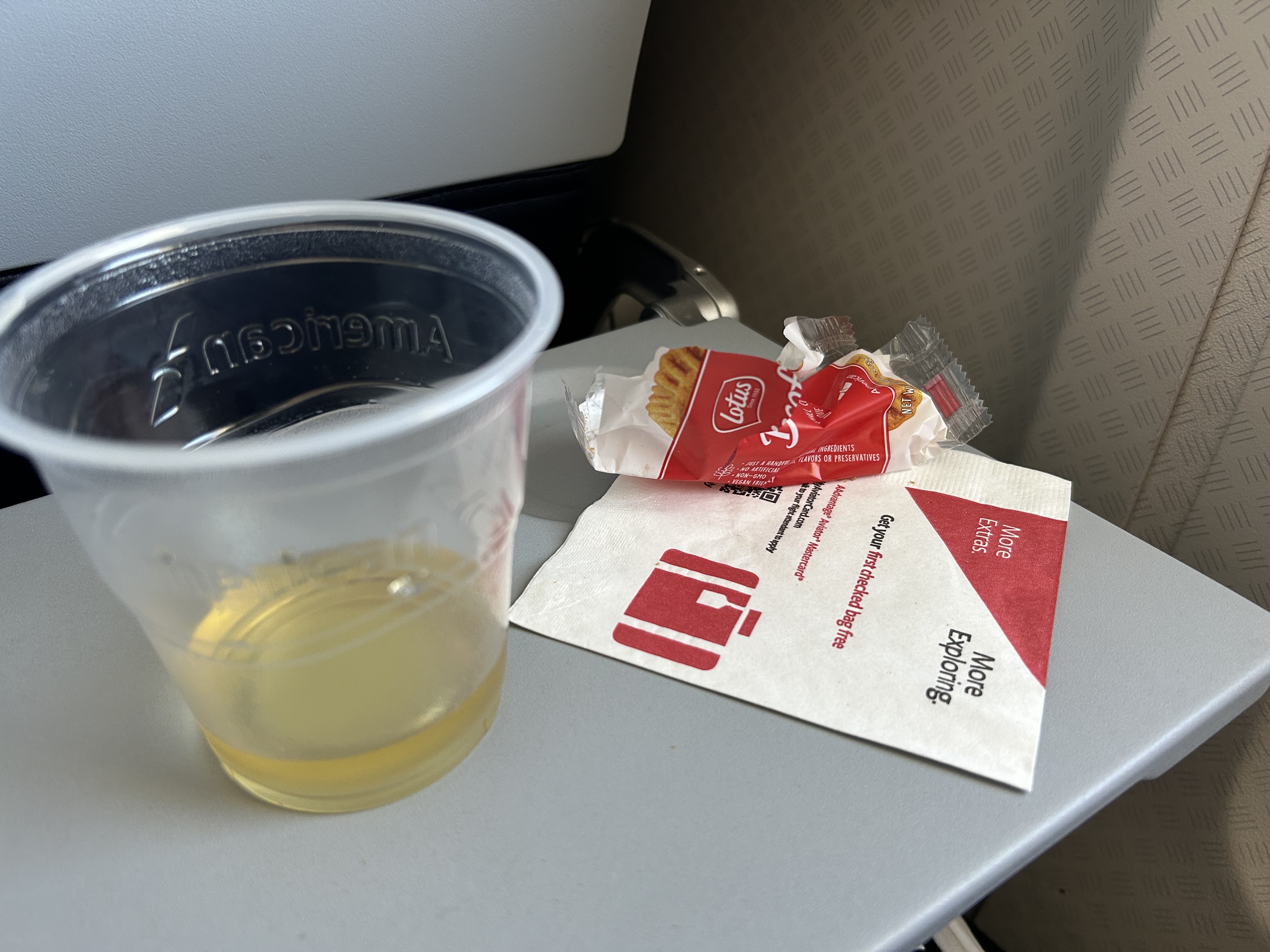 AA 738 LGA DFW snack