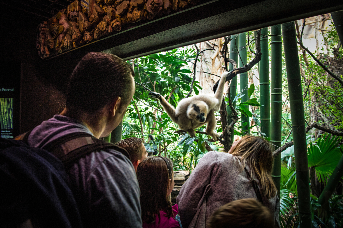 Bronx Zoo Bronx Zoo