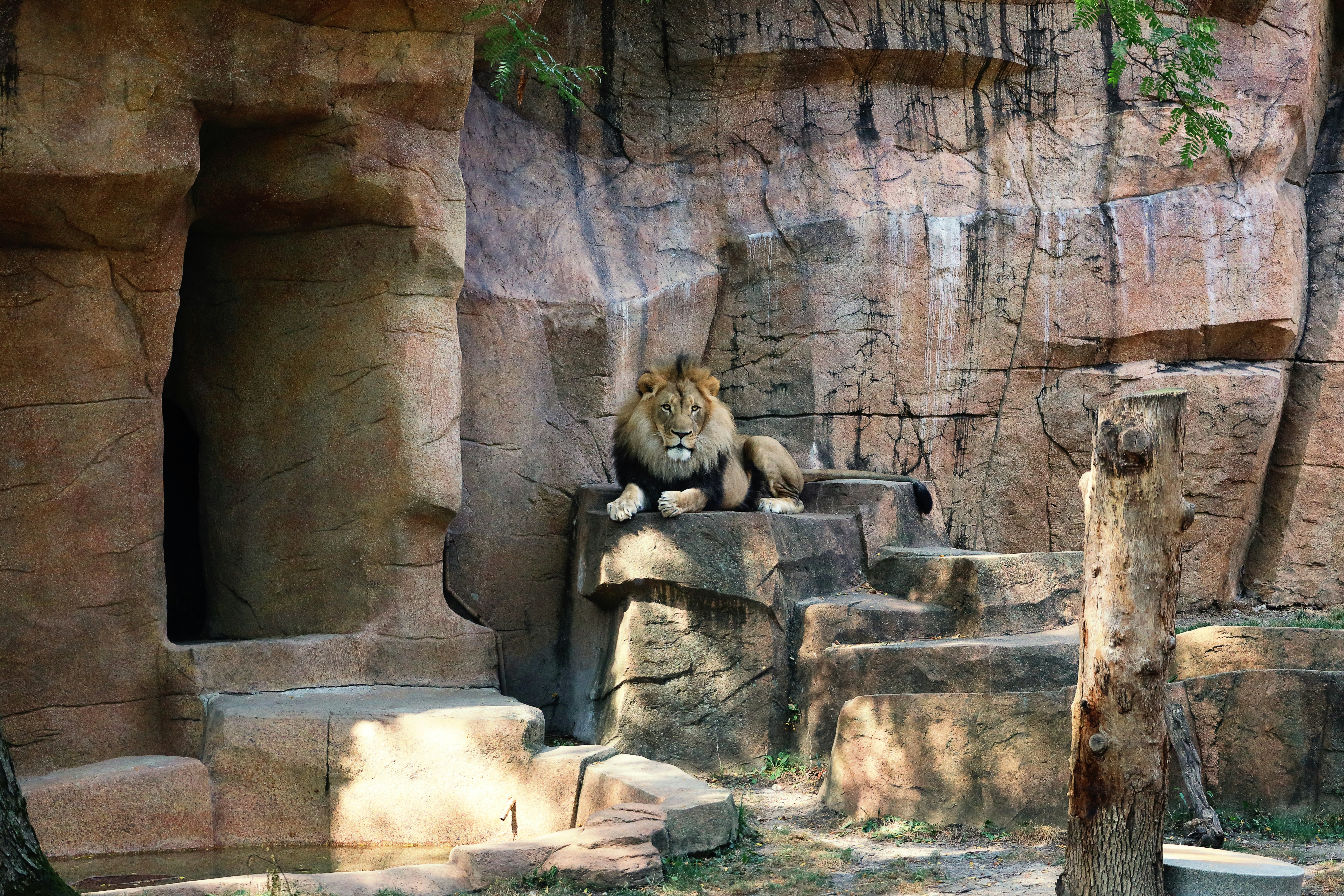 Brookfield Zoo Brookfield Zoo