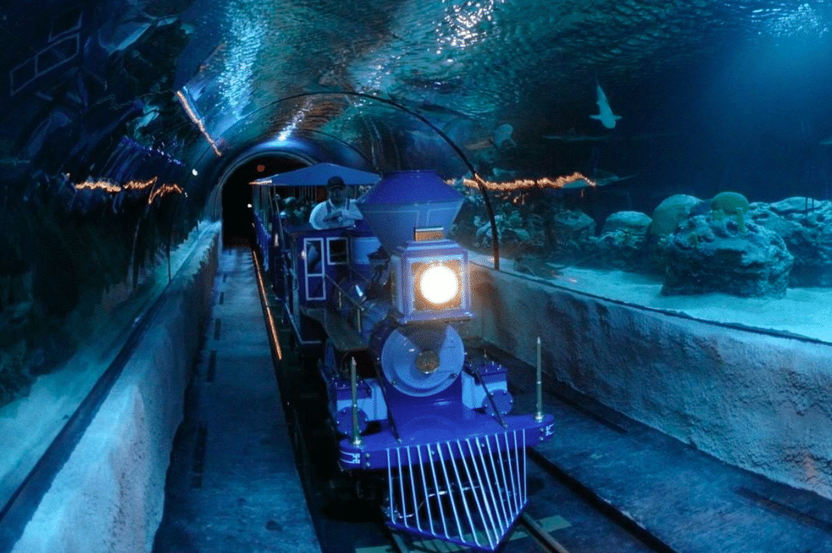Downtown Aquarium