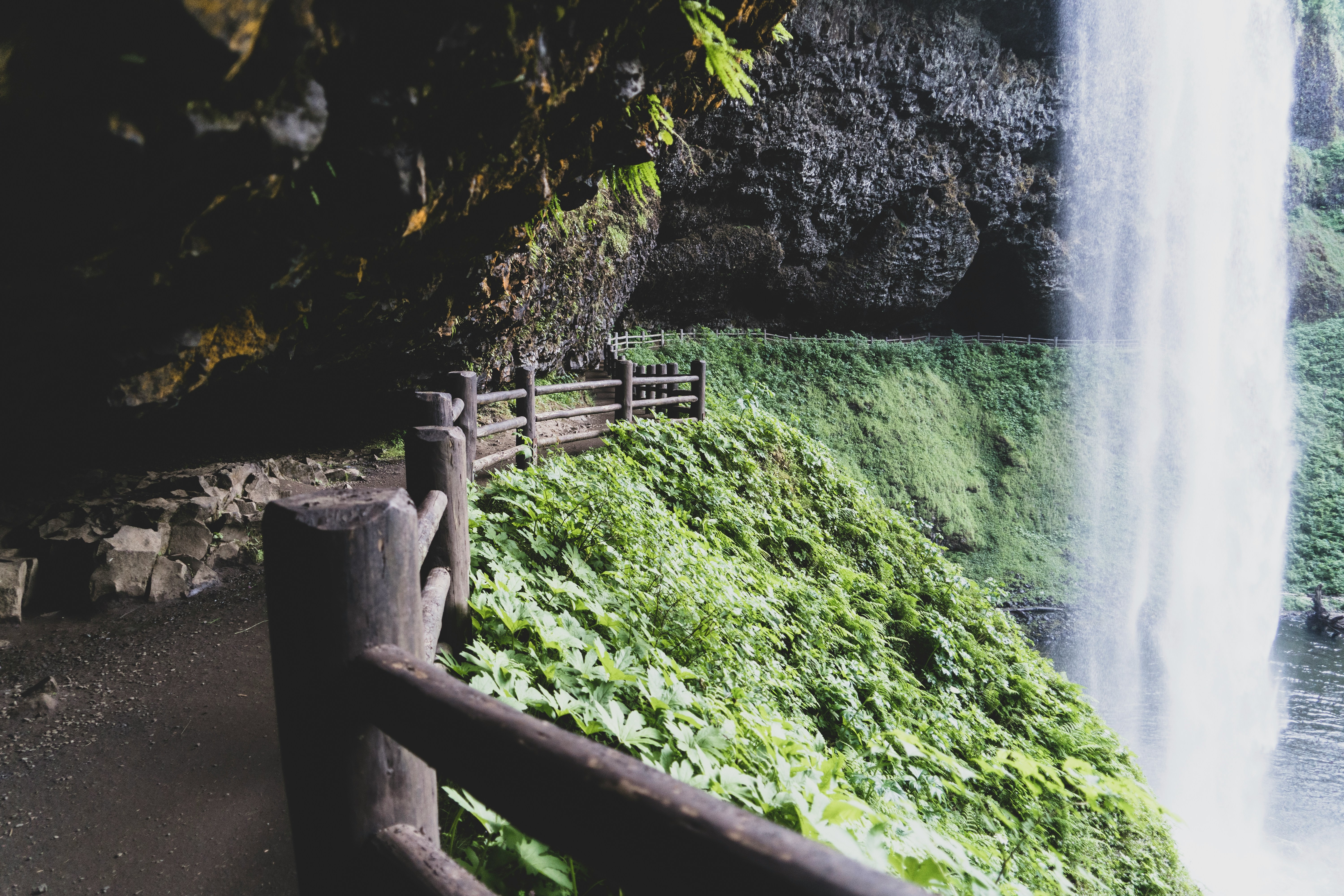 Getting Around Silver Falls State Park