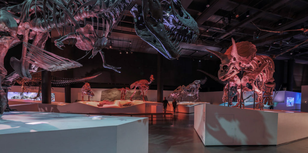 Houston Museum of Natural Science