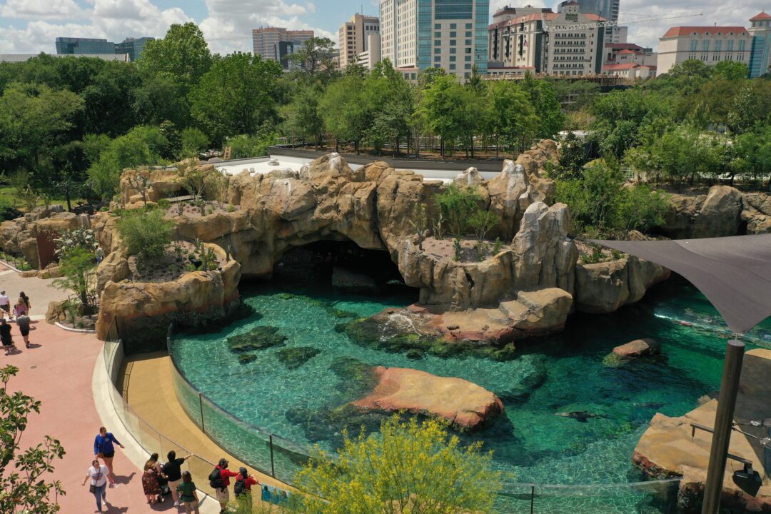 Houston Zoo 