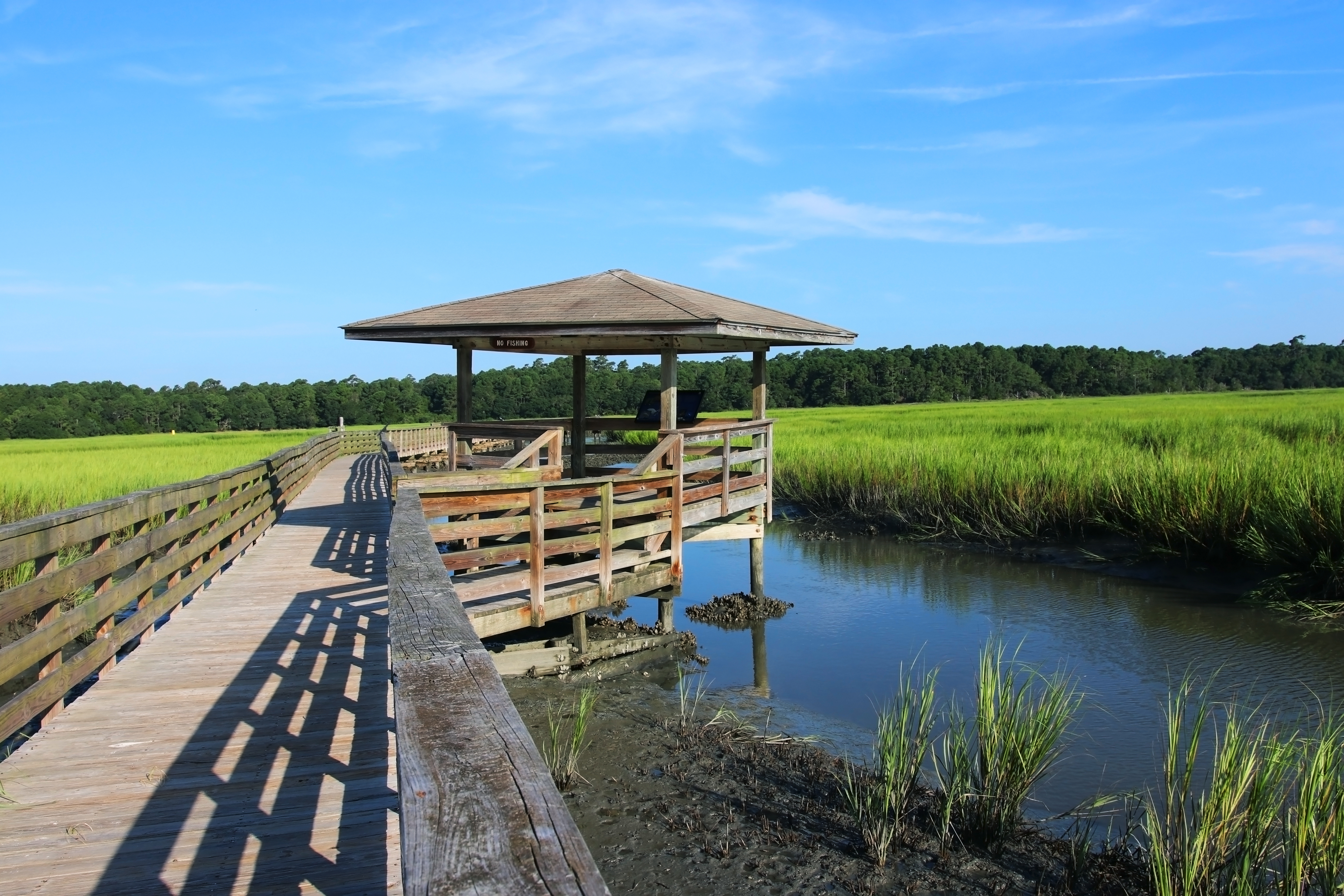 Huntington Beach State Park for Ideal Weather Huntington Beach State Park for Ideal Weather