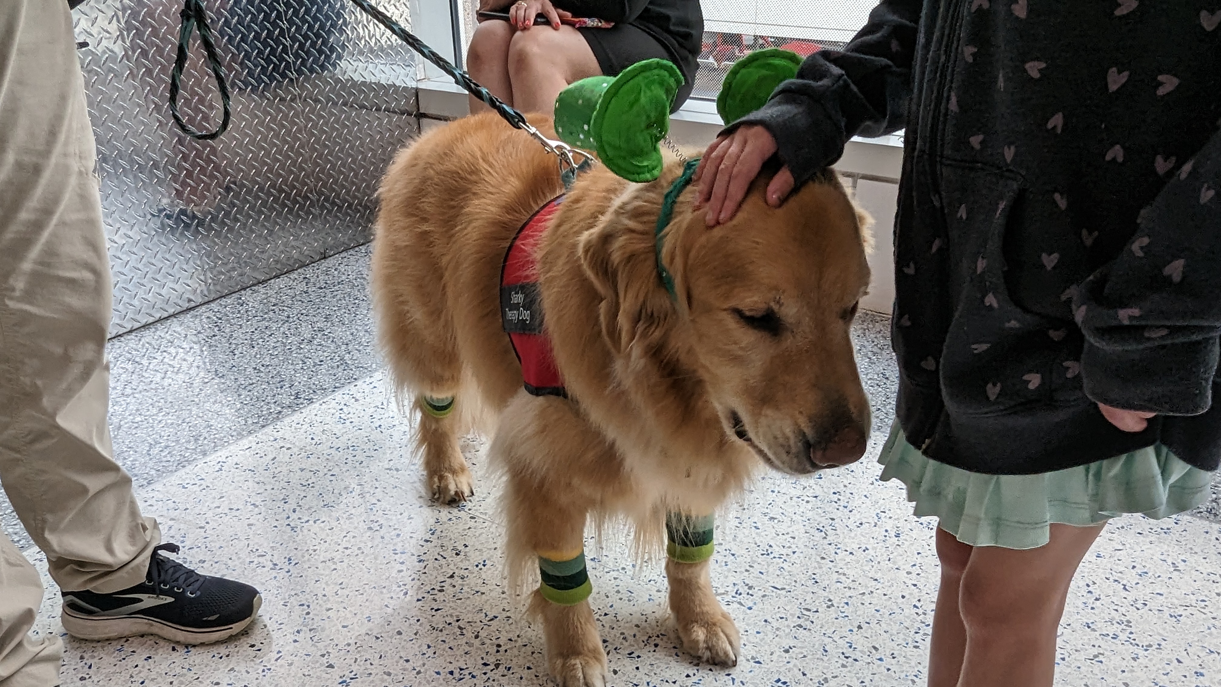 IAH to ATL Delta economy flight review IAH service dog
