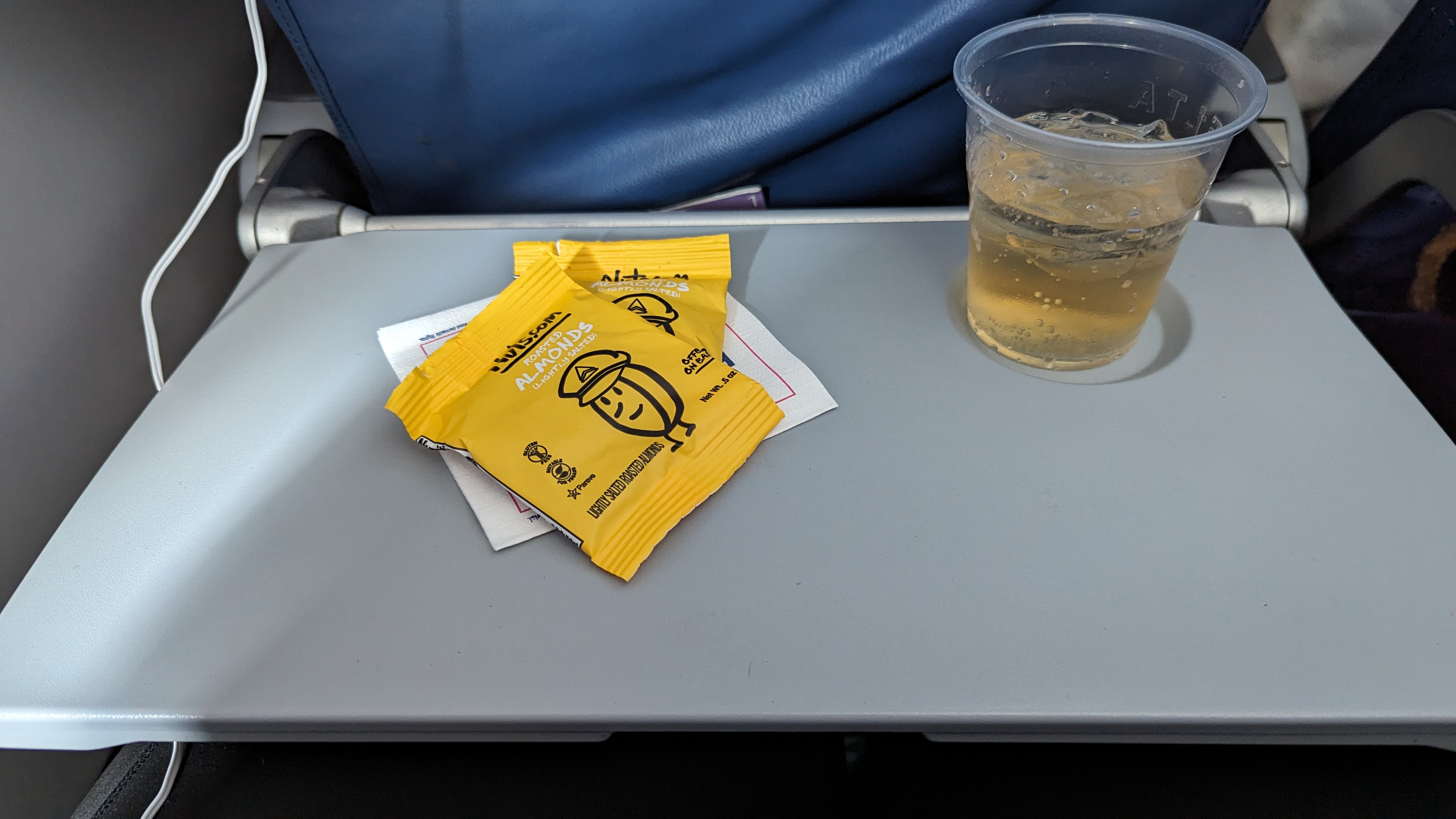 IAH to ATL Delta economy flight review IAH tray table