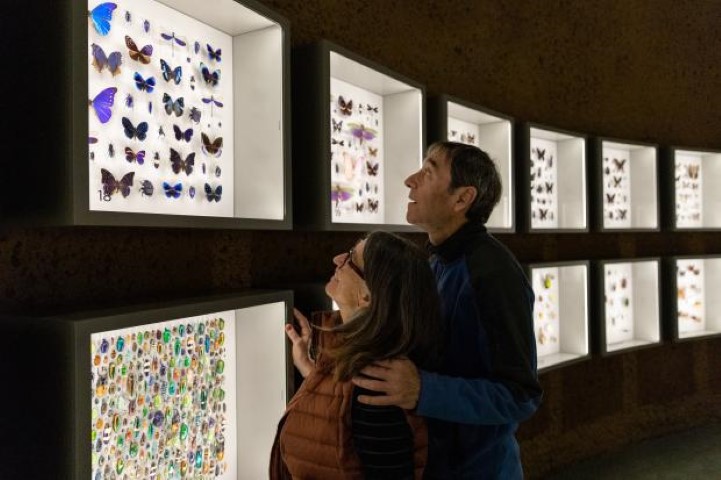 Insectarium