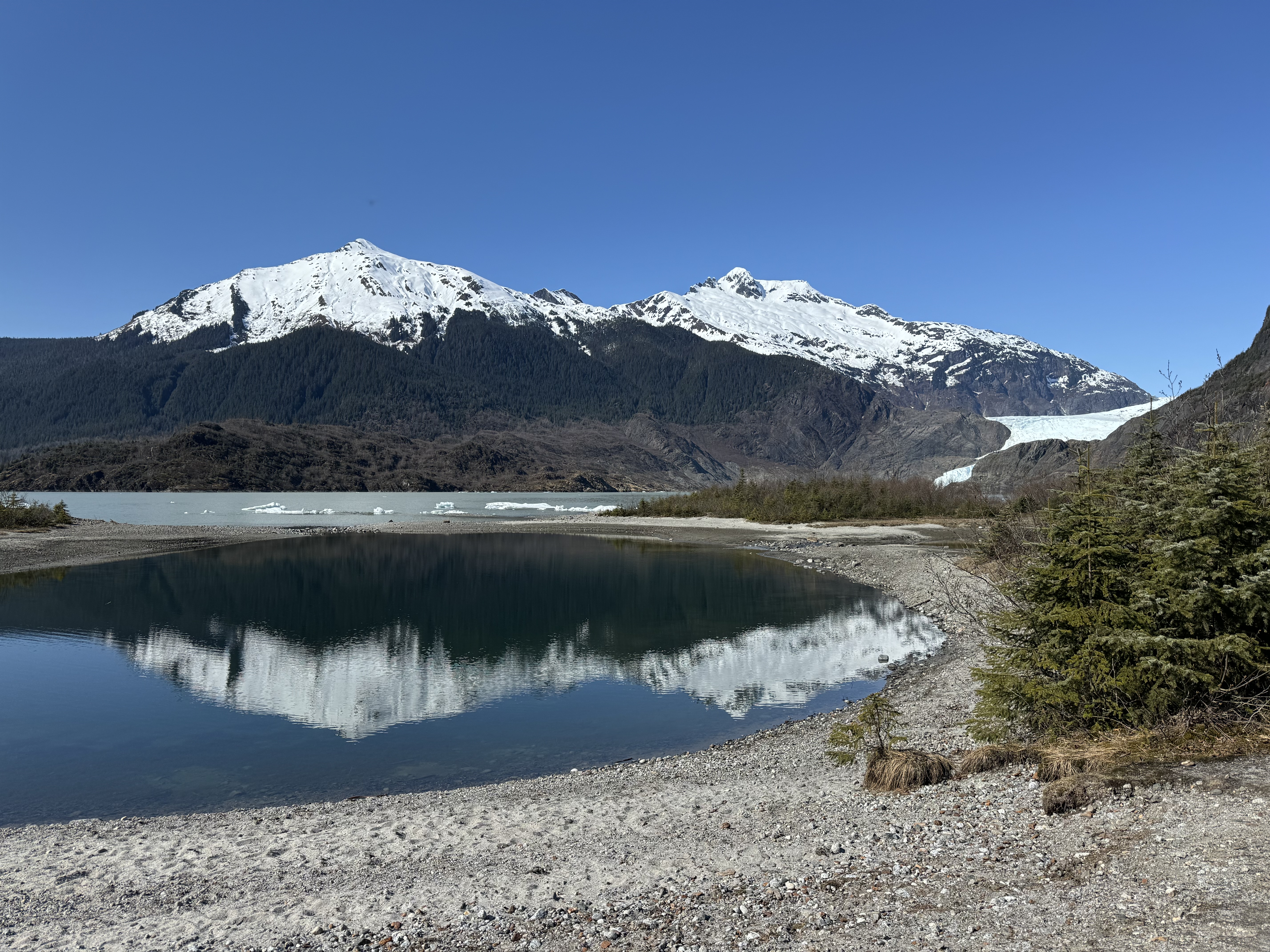 Mendenhall Glacier