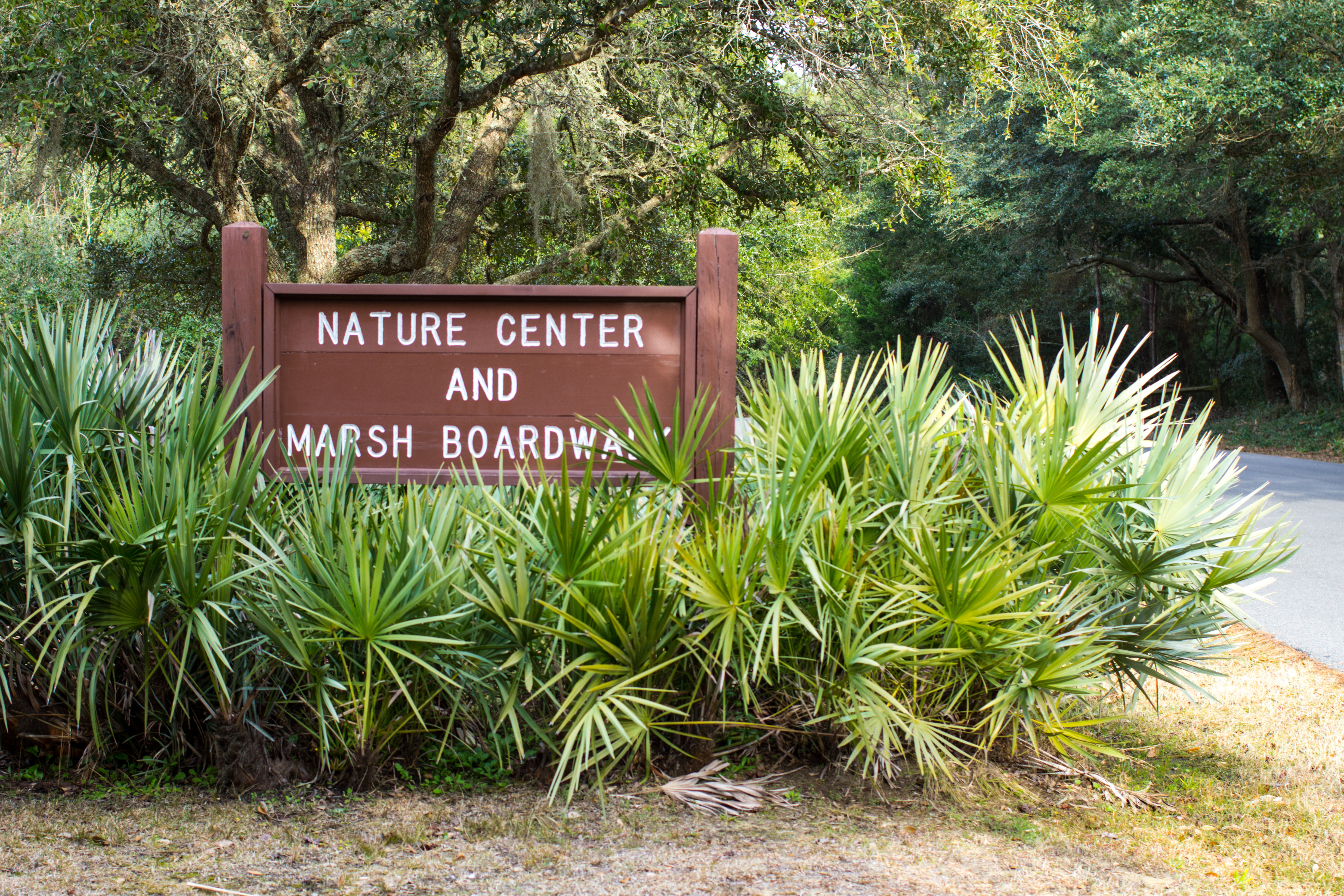 Nature Center at Huntington Beach State Park Nature Center at Huntington Beach State Park