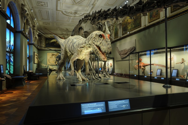 Naturhistorisches Museum Wien