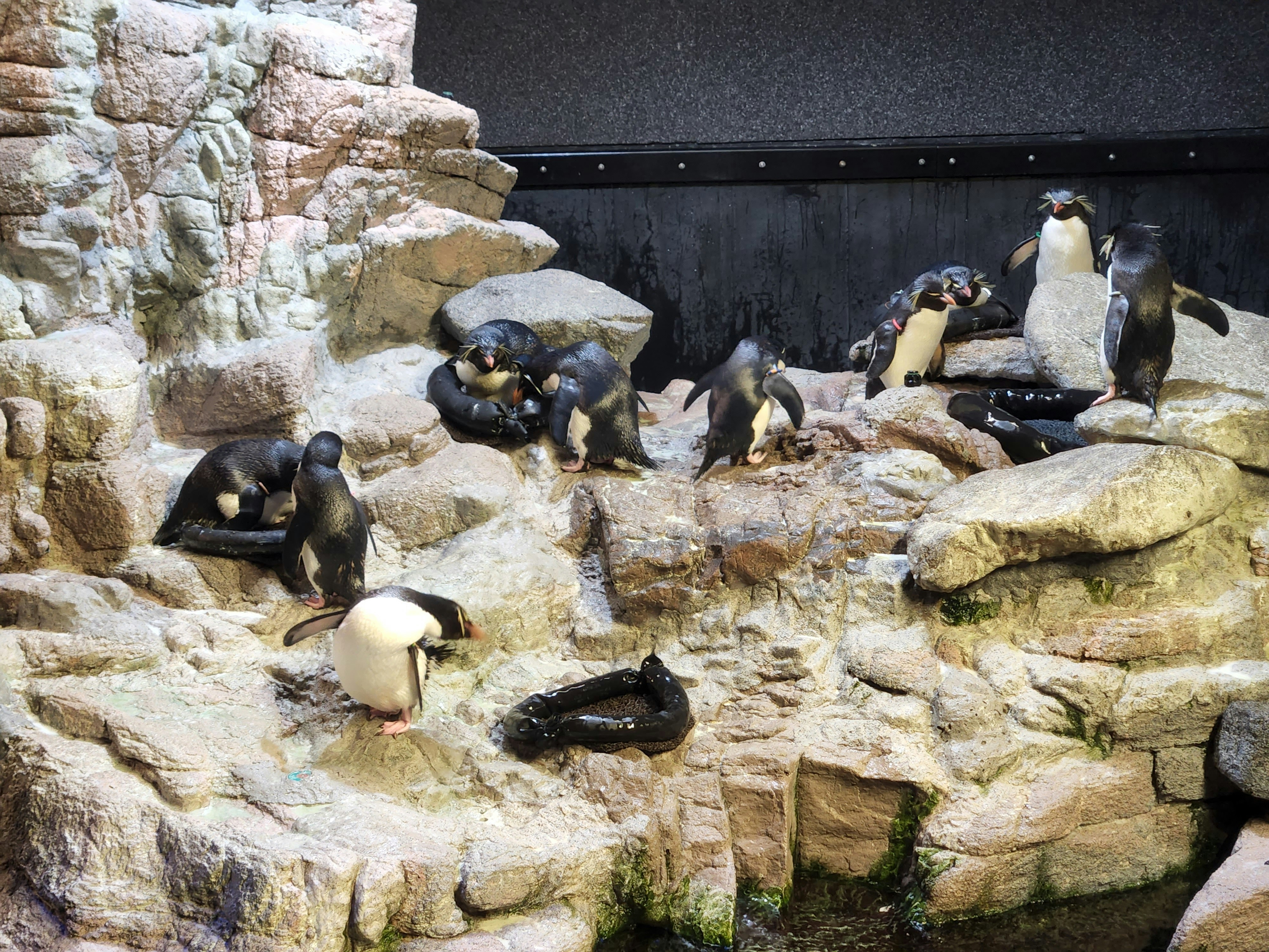 New England Aquarium New England Aquarium