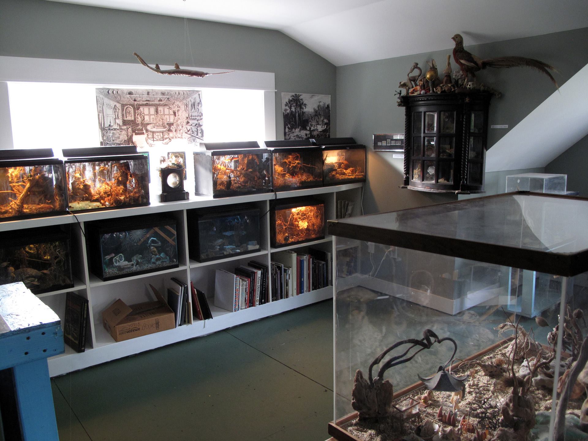 The Zymoglyphic Museum