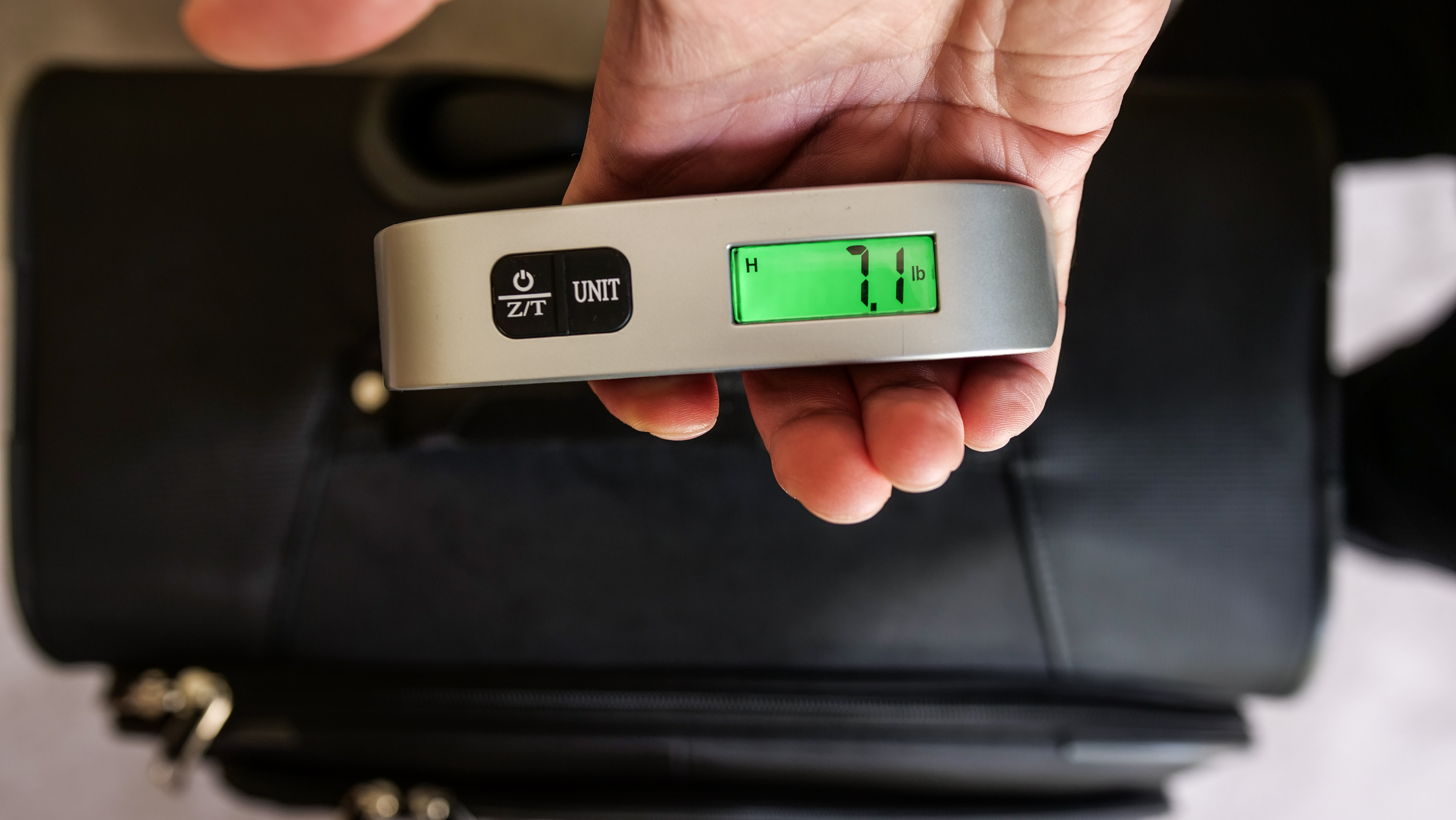 Travelpro Maxlite 5 Softside Weight