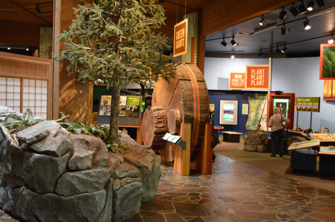 World Forestry Center