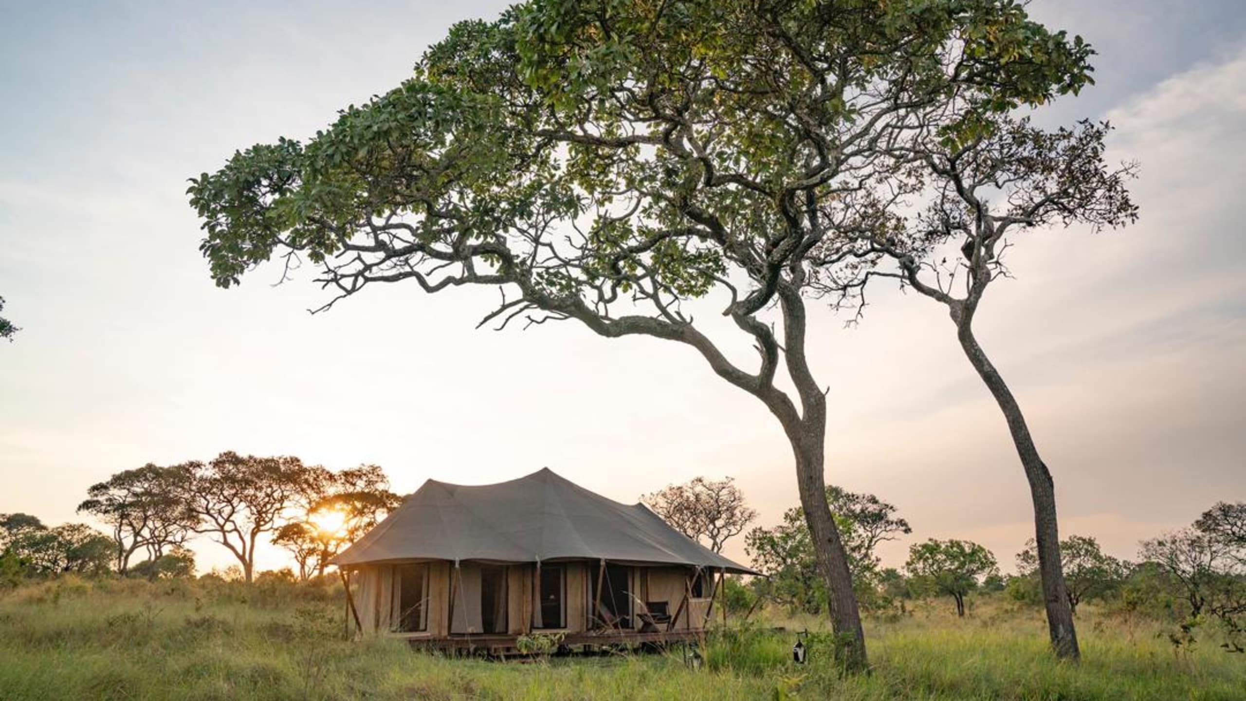 Aurari Camp Tanzania
