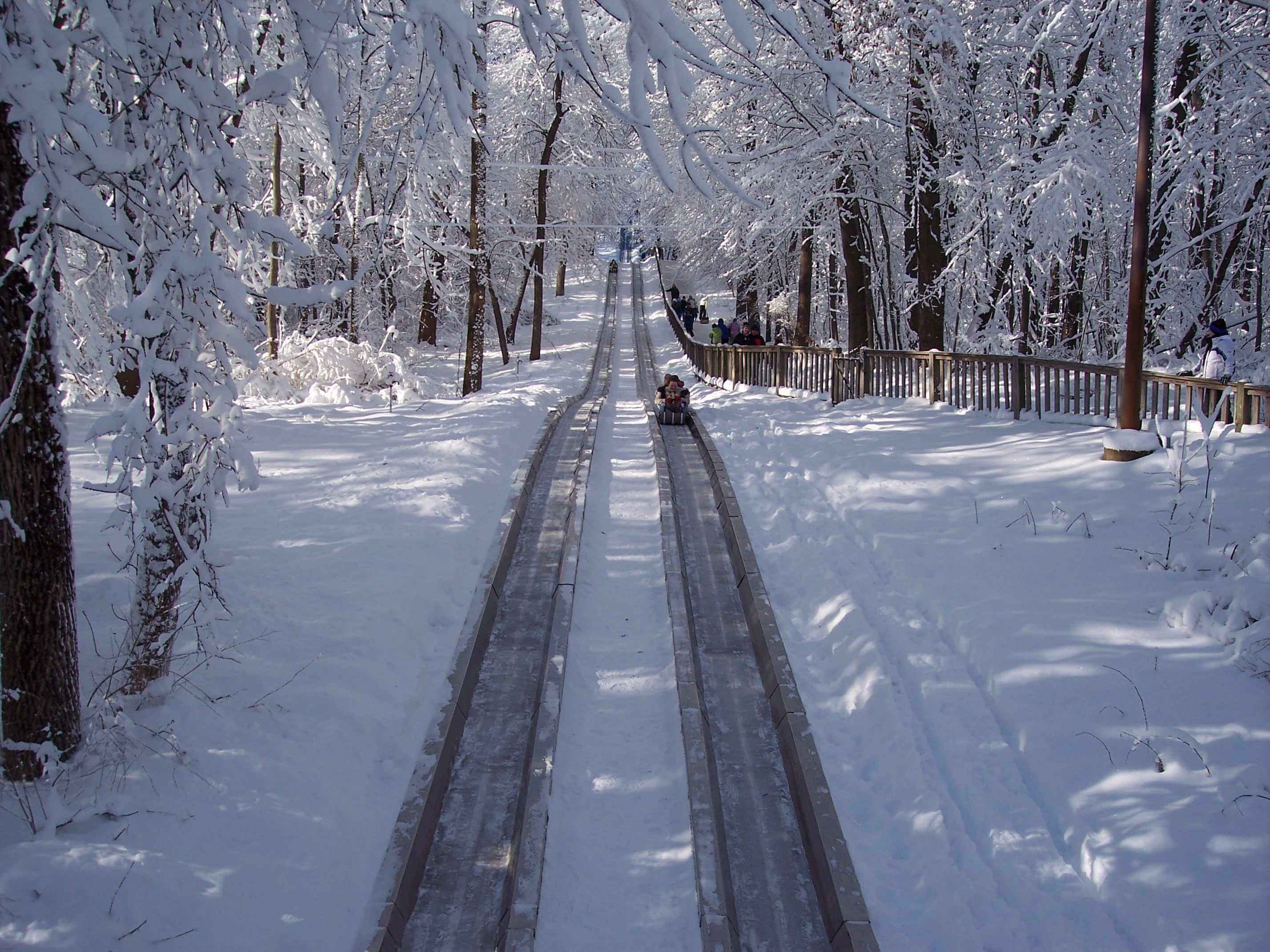 Pokagon State Park in Winter Pokagon State Park in Winter