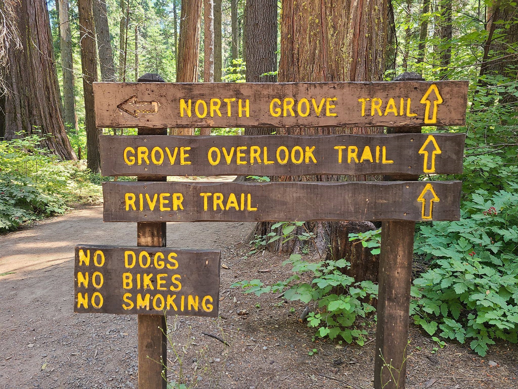 Calaveras Big Trees State Park Hiking Trails Calaveras Big Trees State Park Hiking Trails