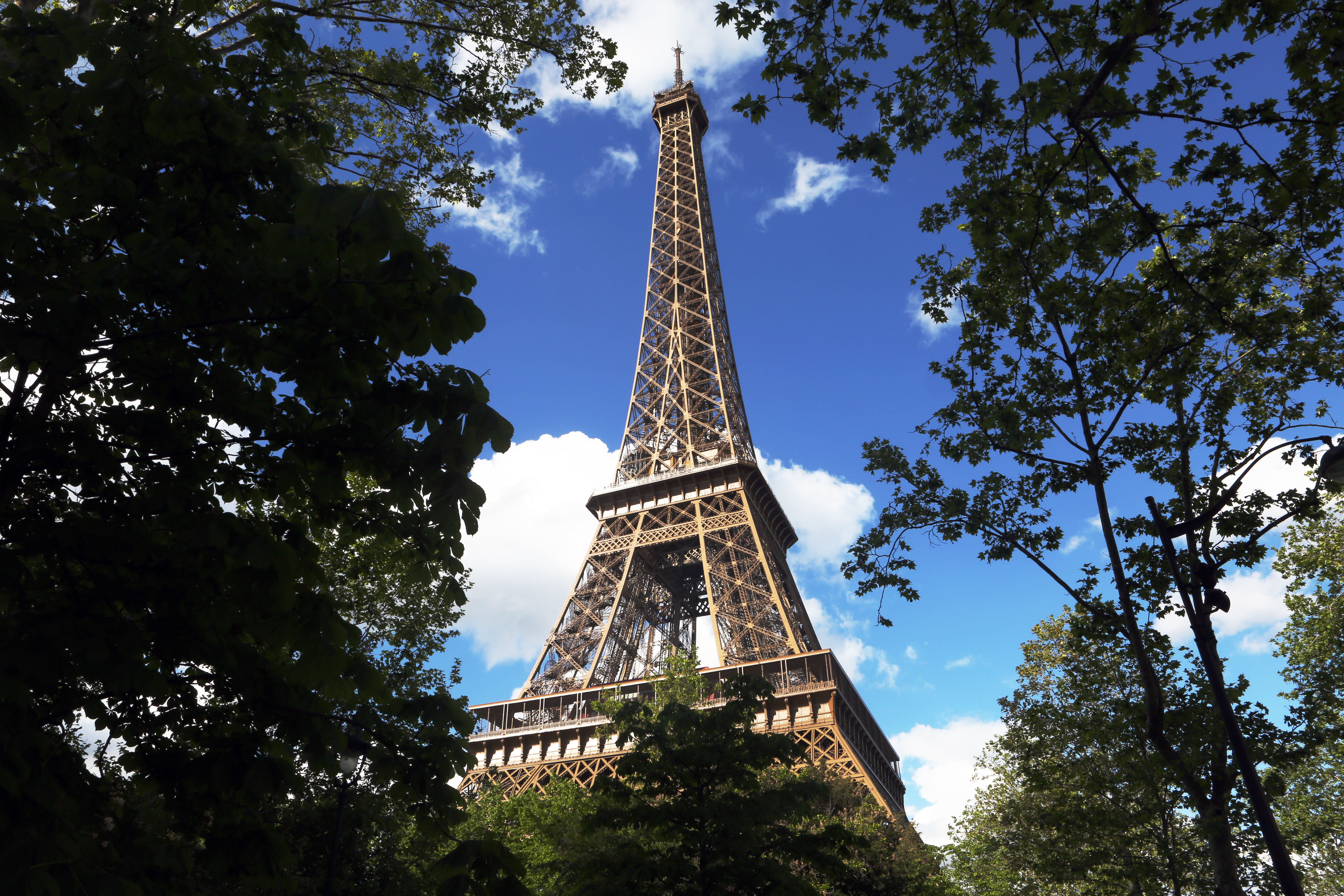 Person Using Cell Phone By Eiffel Tower Eiffel Tower Paris 3 4s medium trees, horizontal