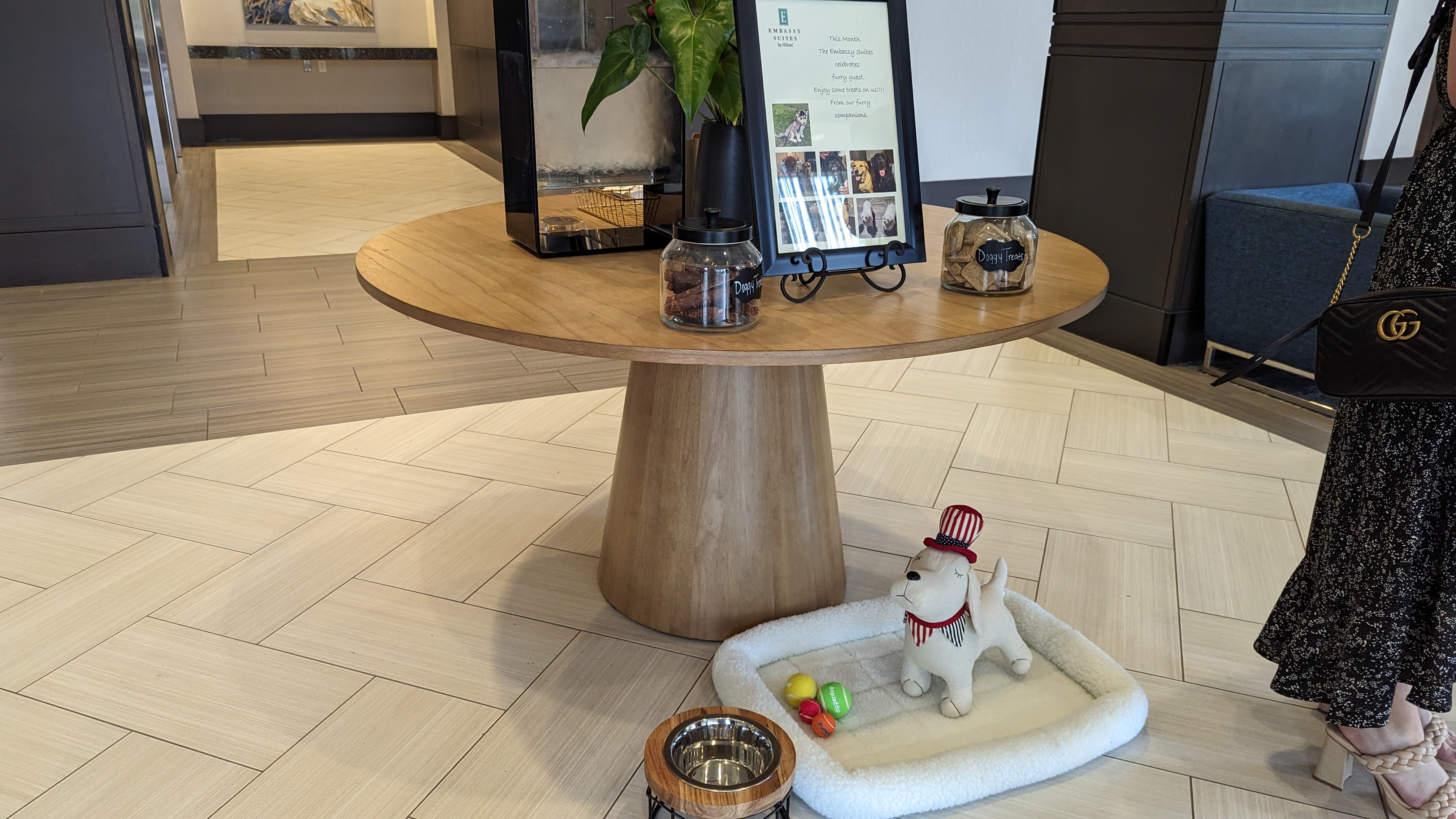 Embassy Suites by Hilton The Woodlands at Hughes Landing amenities pet friendly