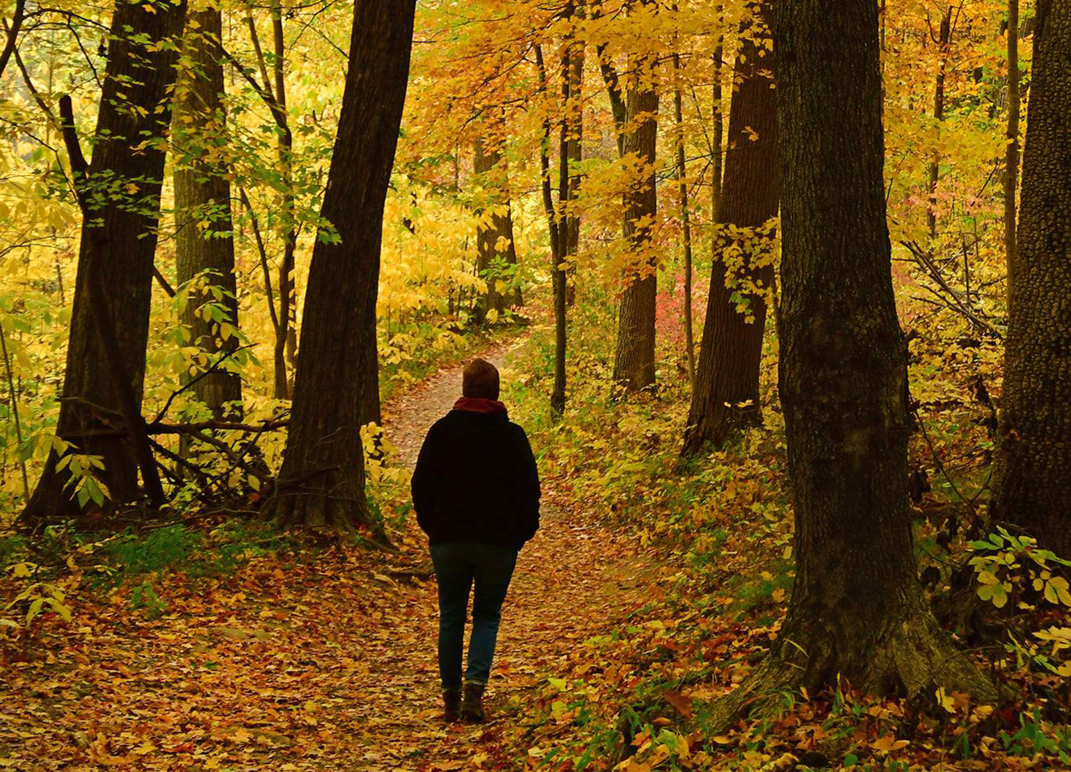 Hiking Pokagon State Park Hiking Pokagon State Park