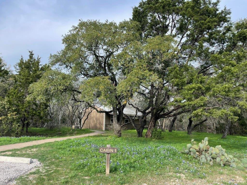McKinney Falls Cabins