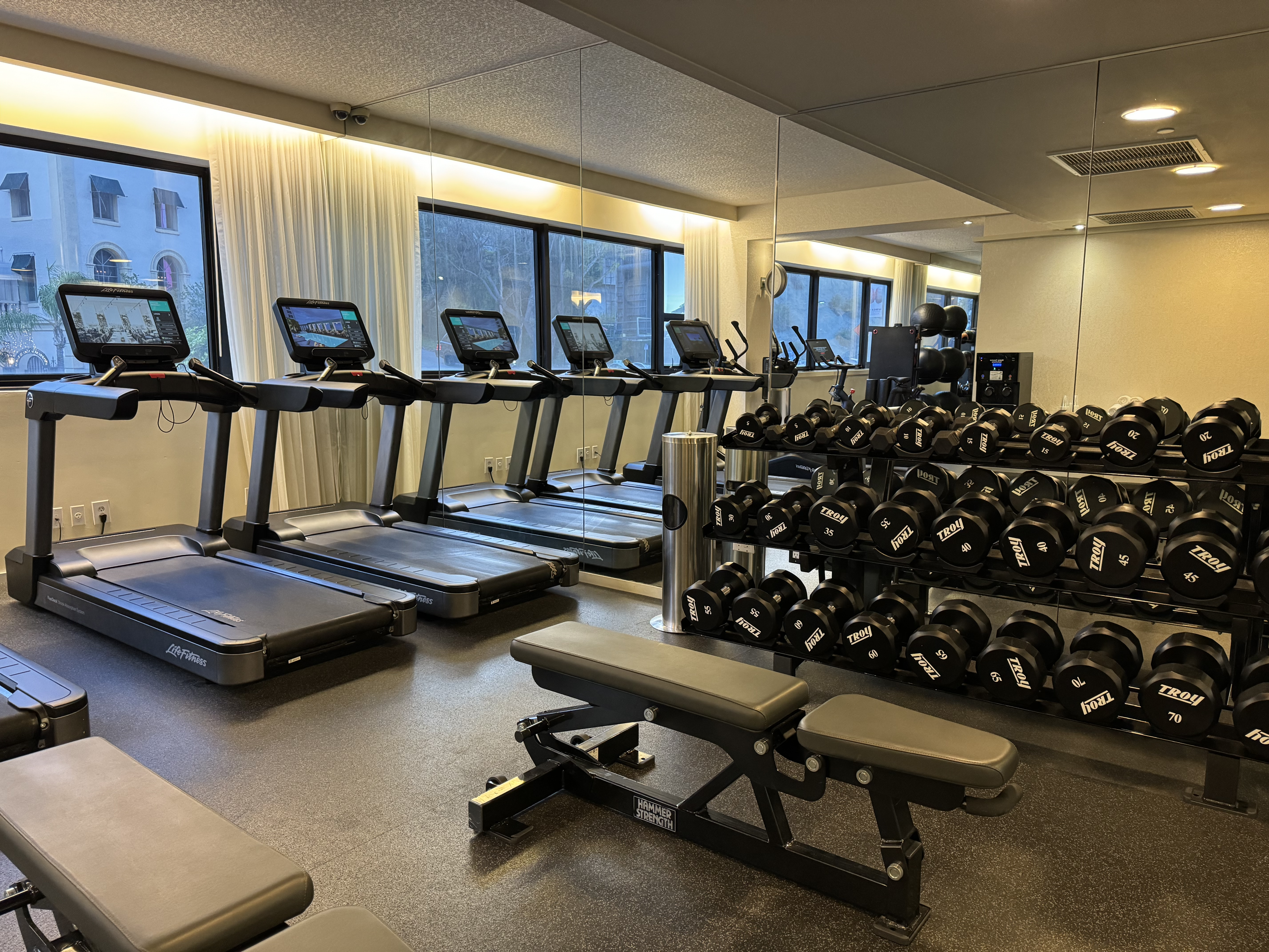Mondrian Los Angeles fitness center free weights Mondrian Los Angeles fitness center free weights