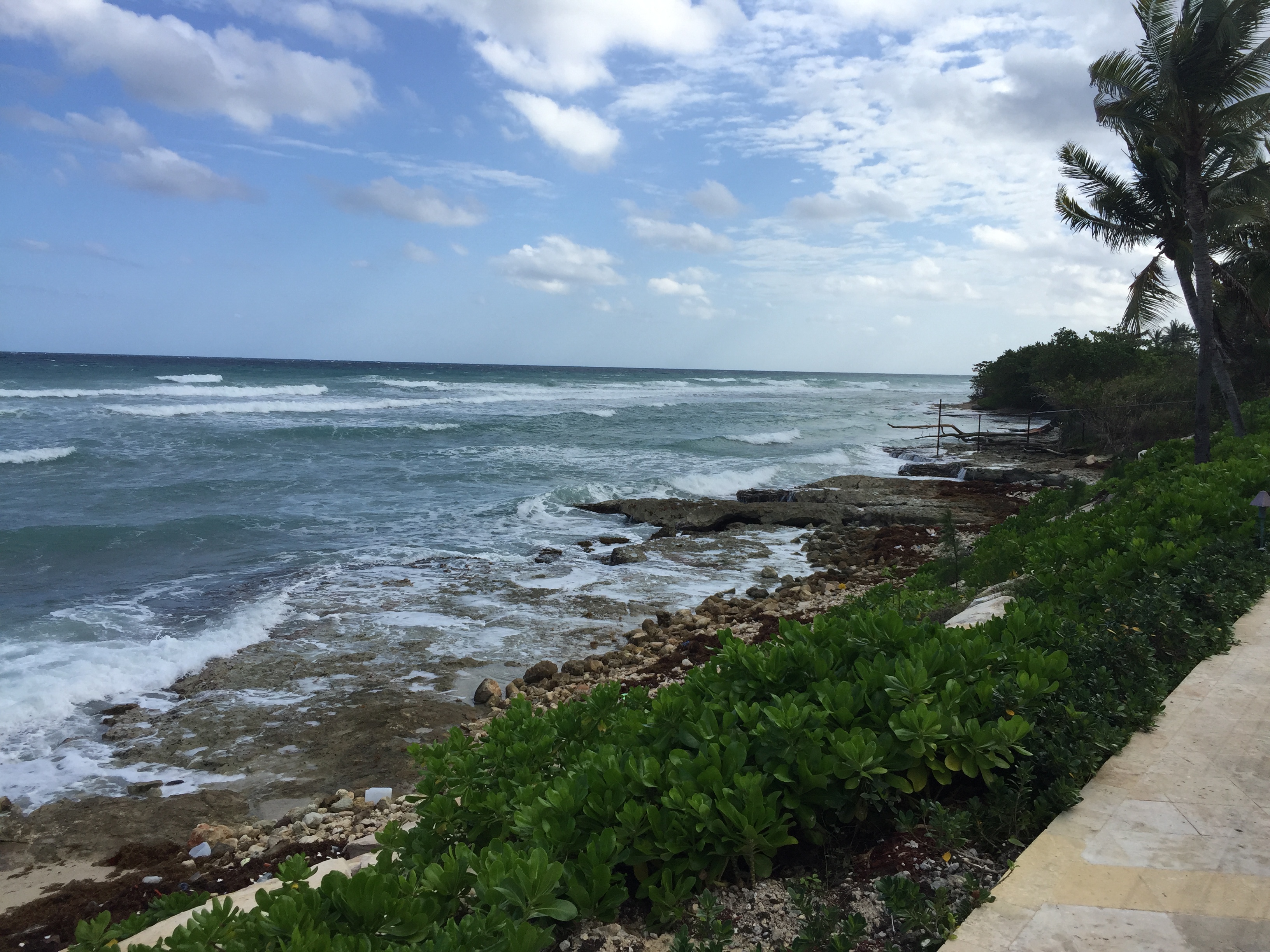 Montego Bay Hyatt Ziva